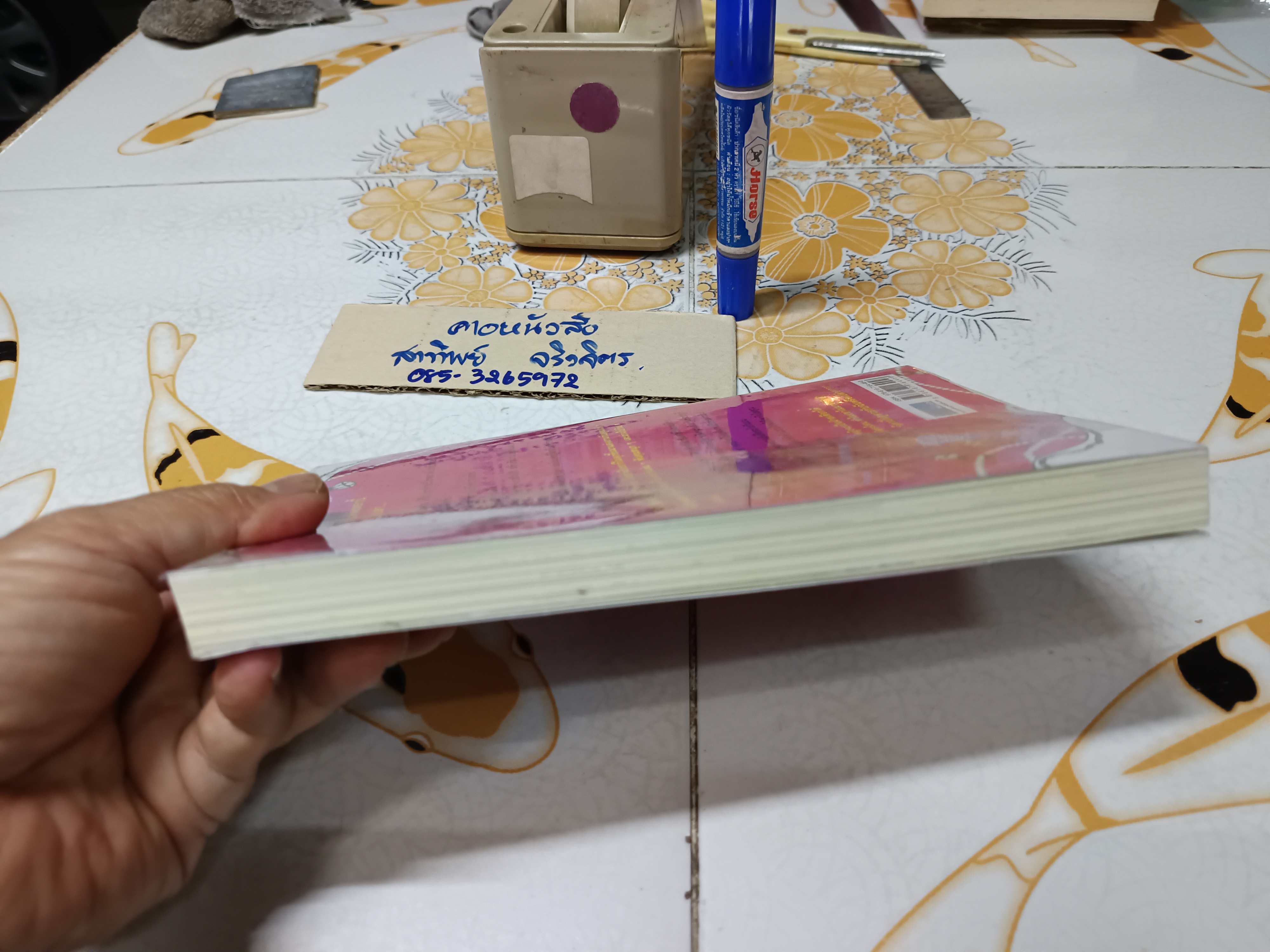 Twice Upon a Time, Sleeping Beauty ,Wendy Mass The One Who Took the Really Long Nap