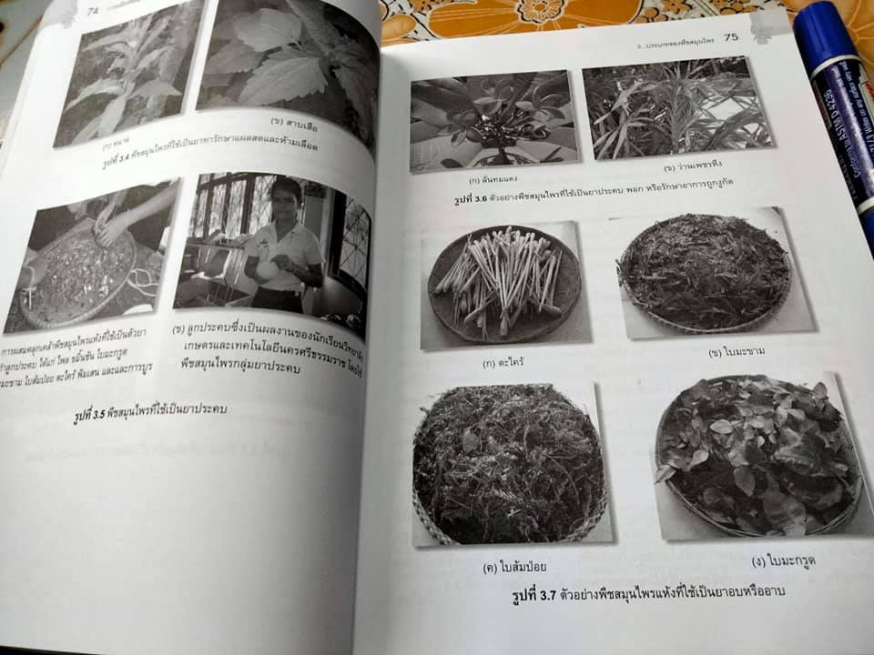 การผลิตพืชสมุนไพร - มณฑา ลิมปิยประพันธ์