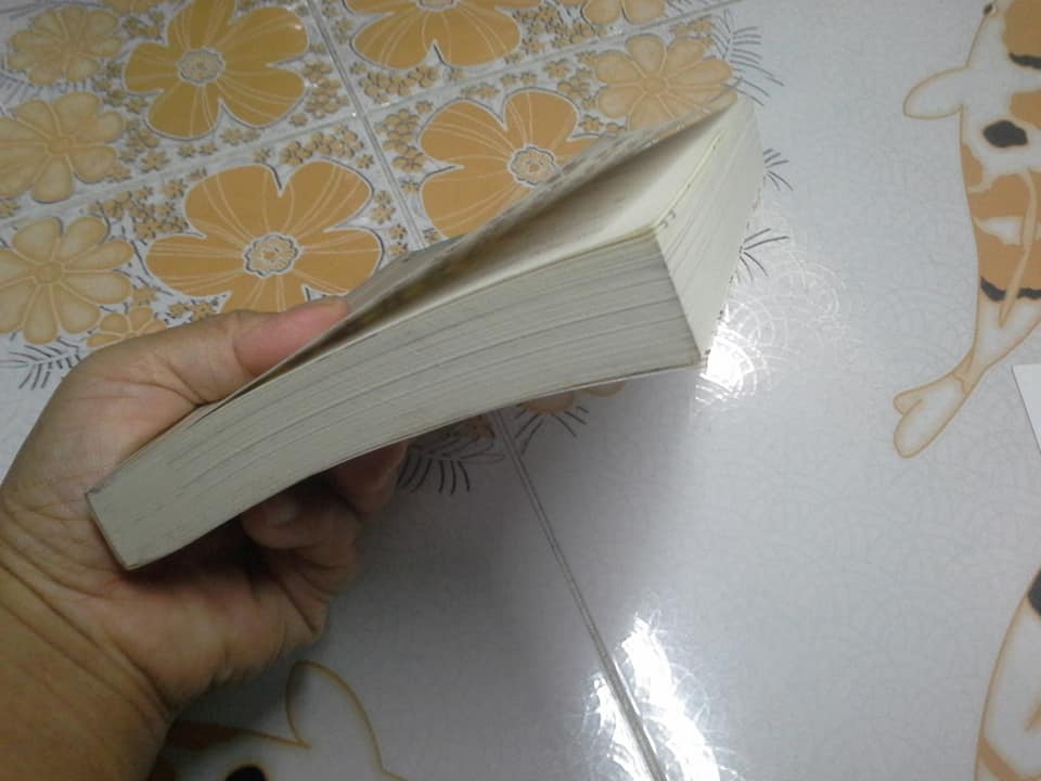 ง่ายๆ สไตล์เซน โดย ชาร์ลอต โจโกะ , ศุภณัฏฐ์ พิศาลไชยพล แปล **สินค้าหมด**