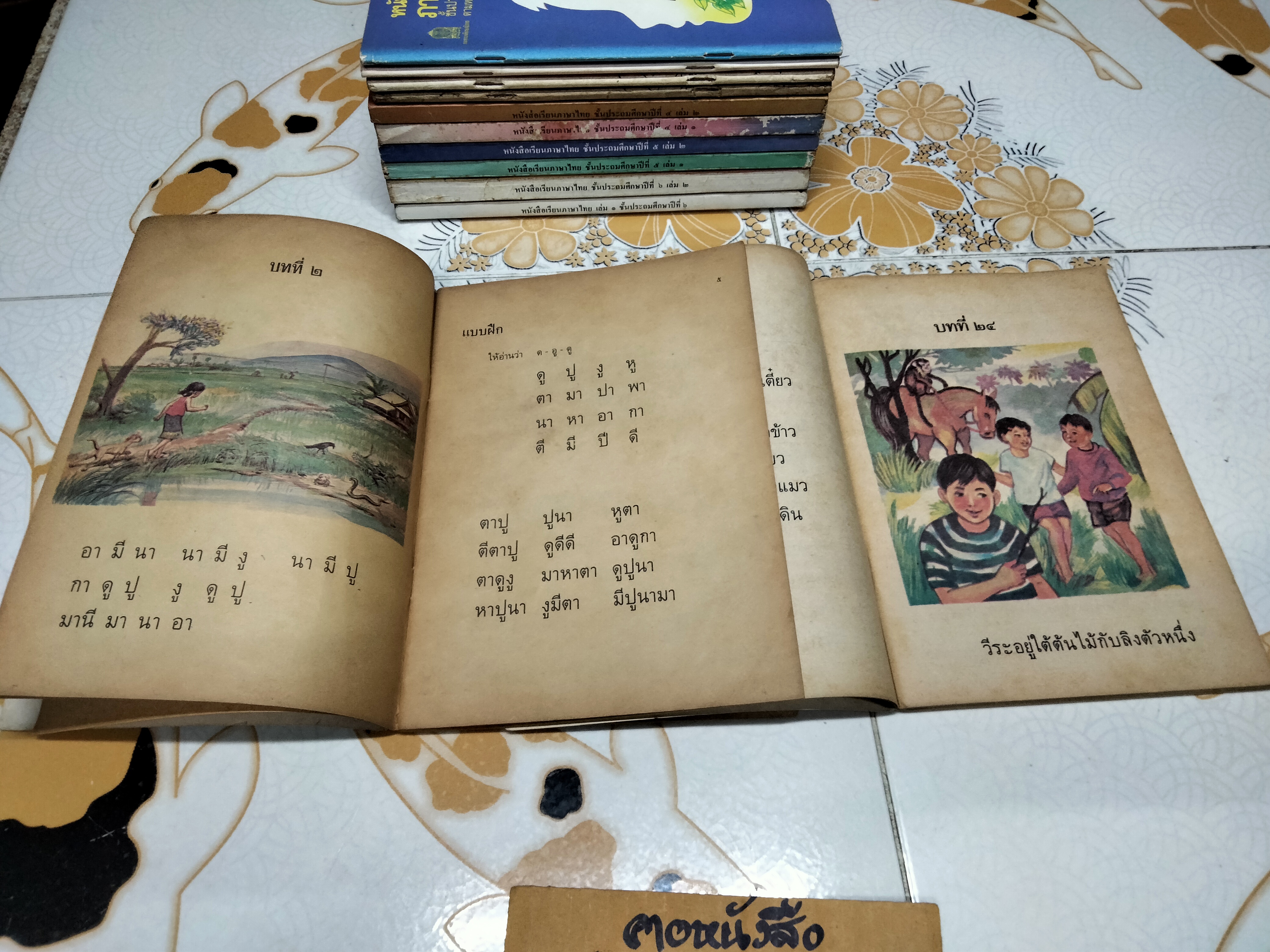 หนังสือเรียนภาษาไทย (แบบเรียน) มานี มานะ ชั้นประถมศึกษา 1-6 จำนวน 12 เล่ม