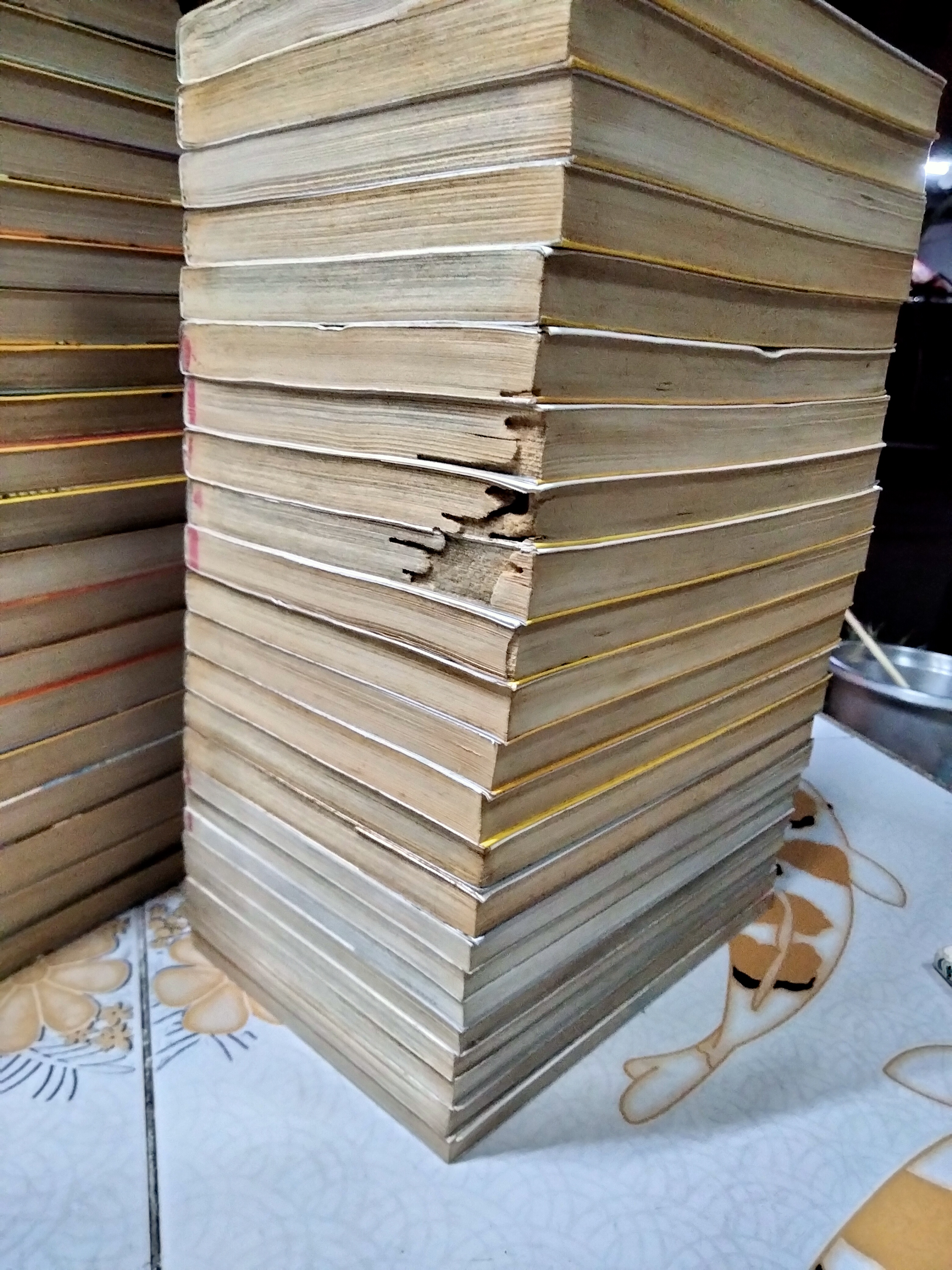 อิตโต้ นักเตะเลือดกังฟู (ภาค 1 - 2) + ภาคพิเศษ 1 เล่ม **หนังสือบ้านสะสม + มีรอยปลวกกินที่มุม ,มีคราบน้ำ