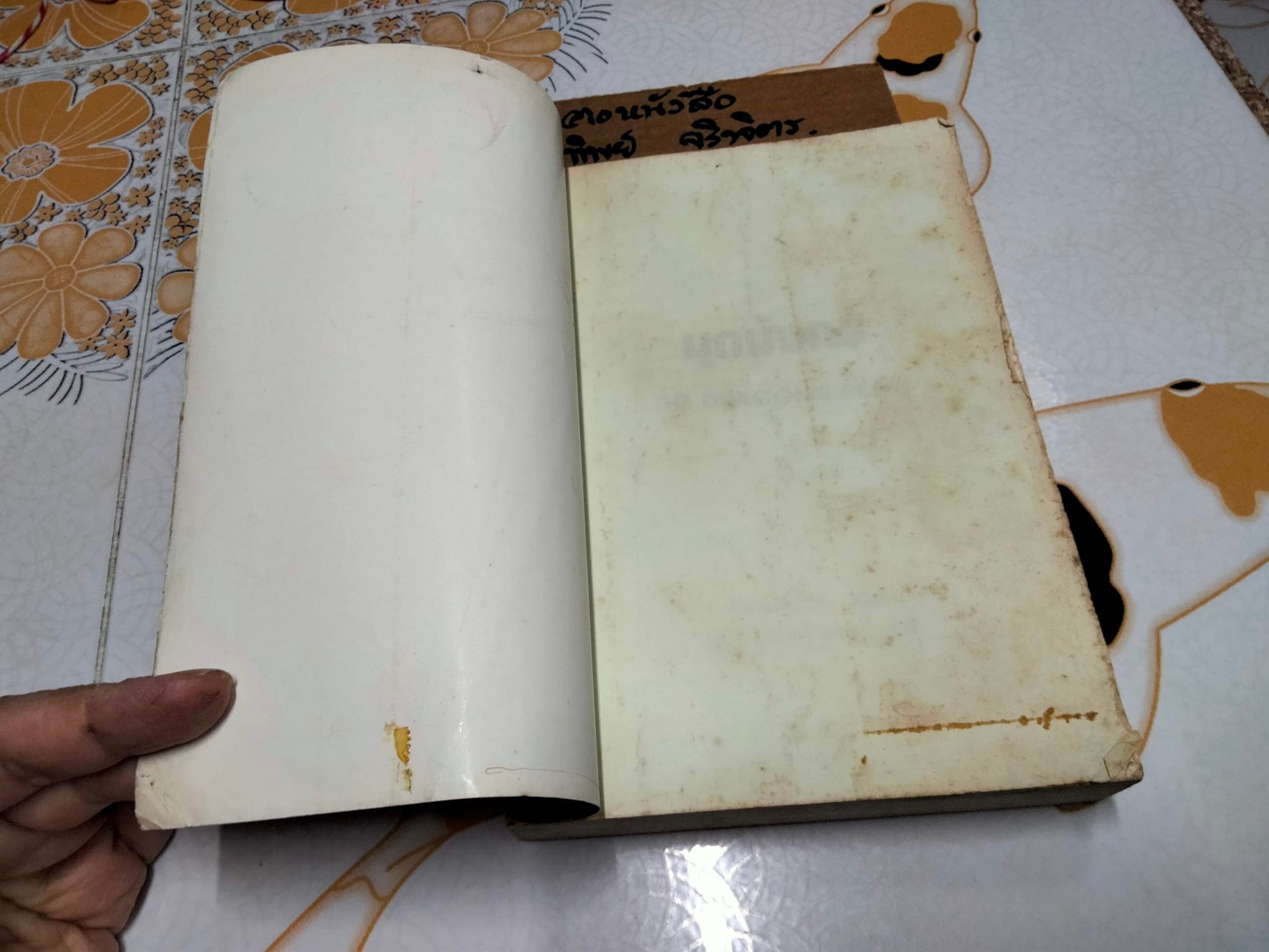 มุกมังกร The Dragon's Pearl - สิรินทร์ พัธโนทัย เขียน , บุญรัตน์ อภิชาติไตรสรณ์ แปล