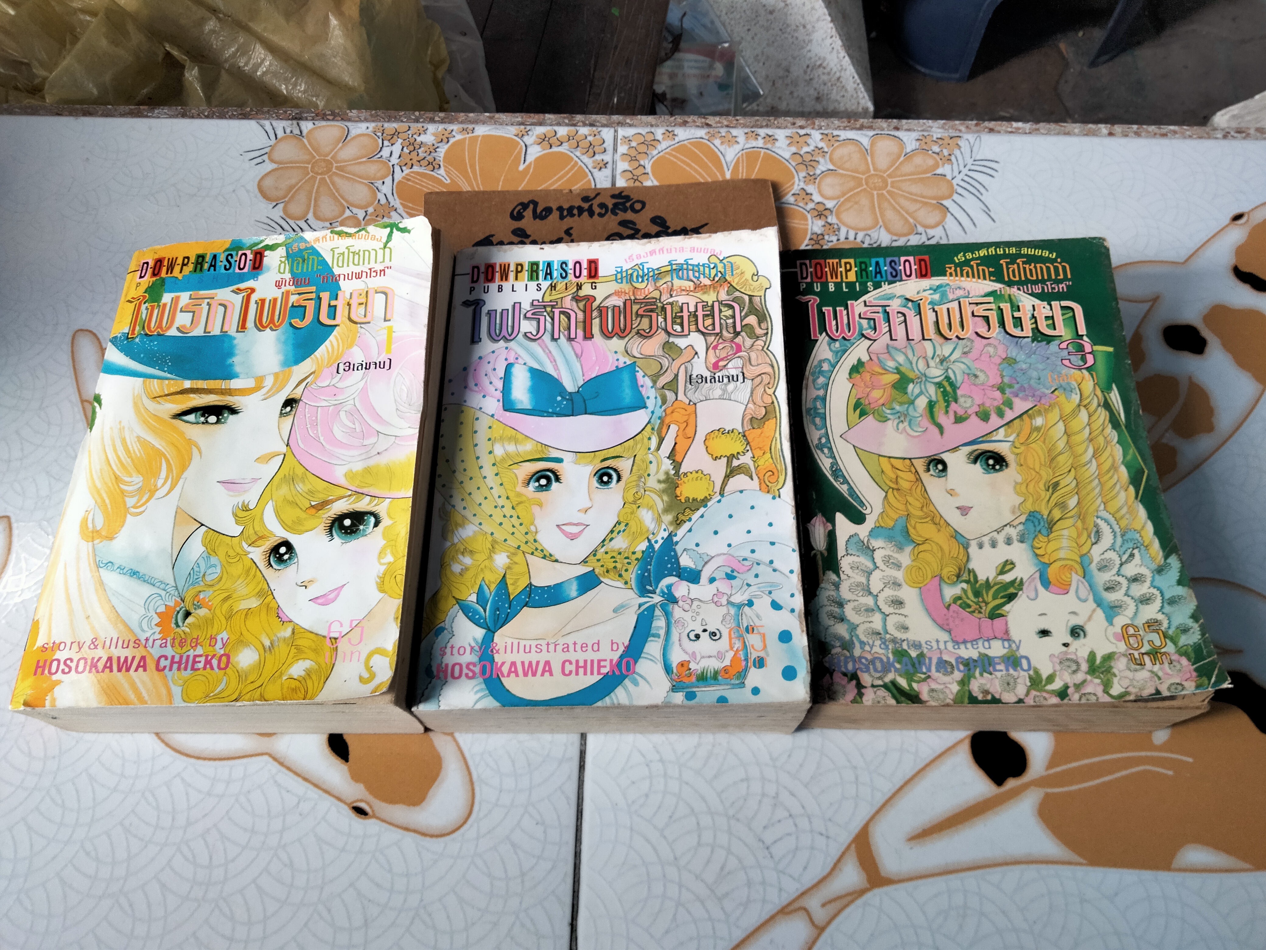 หนังสือการ์ตูน ไฟรักไฟริษยา (3 เล่มจบ) - ชิเอโกะ โฮโซกาว่า (ผู้เขียนคำสาปฟาโรห์) **สินค้าหมด**