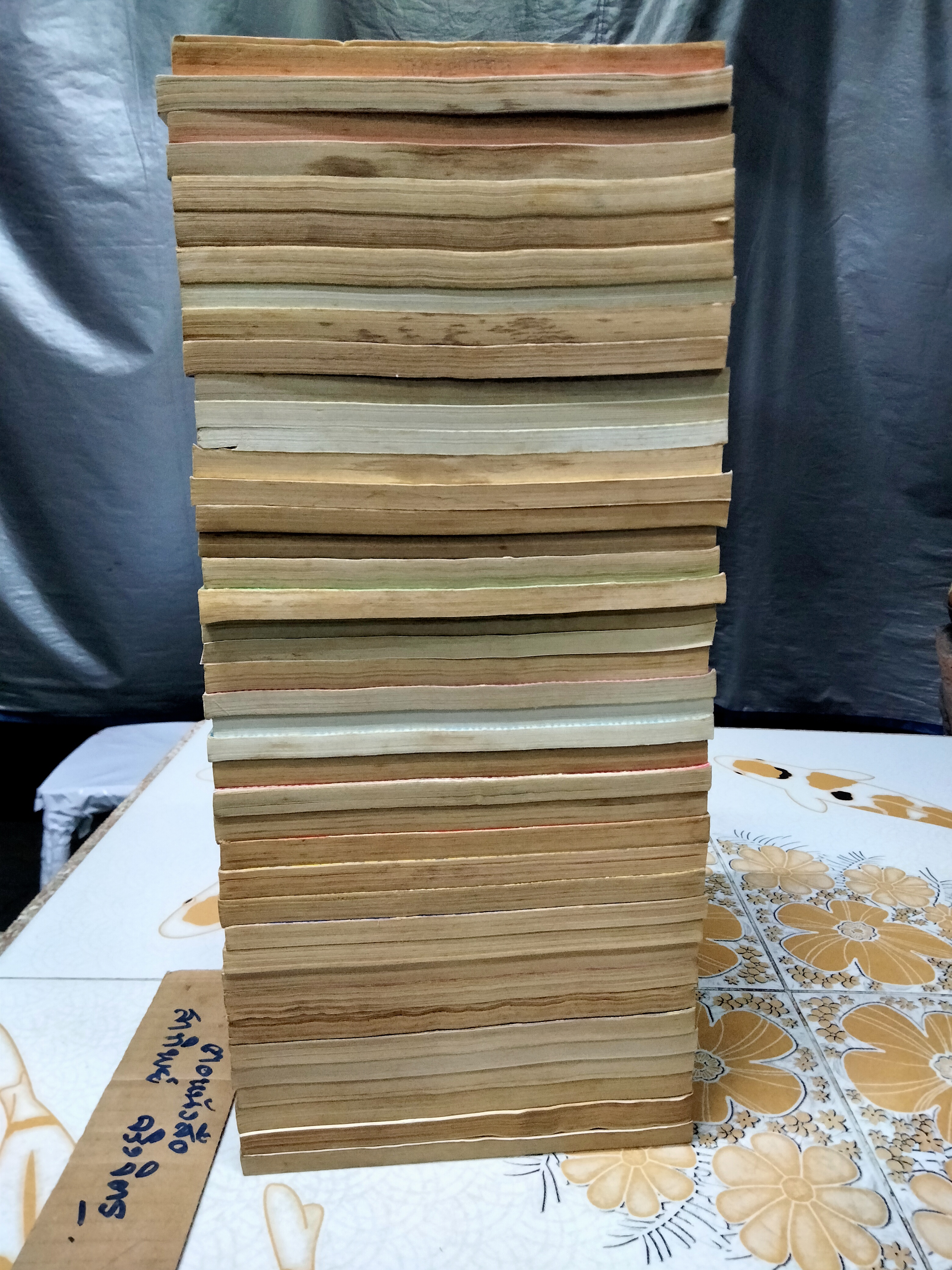 โดราเอมอน สันสีทอง (1-45) มีไม่ครบ มีแค่ 42 เล่ม ขาด 12,17,18 **สินค้าหมด**