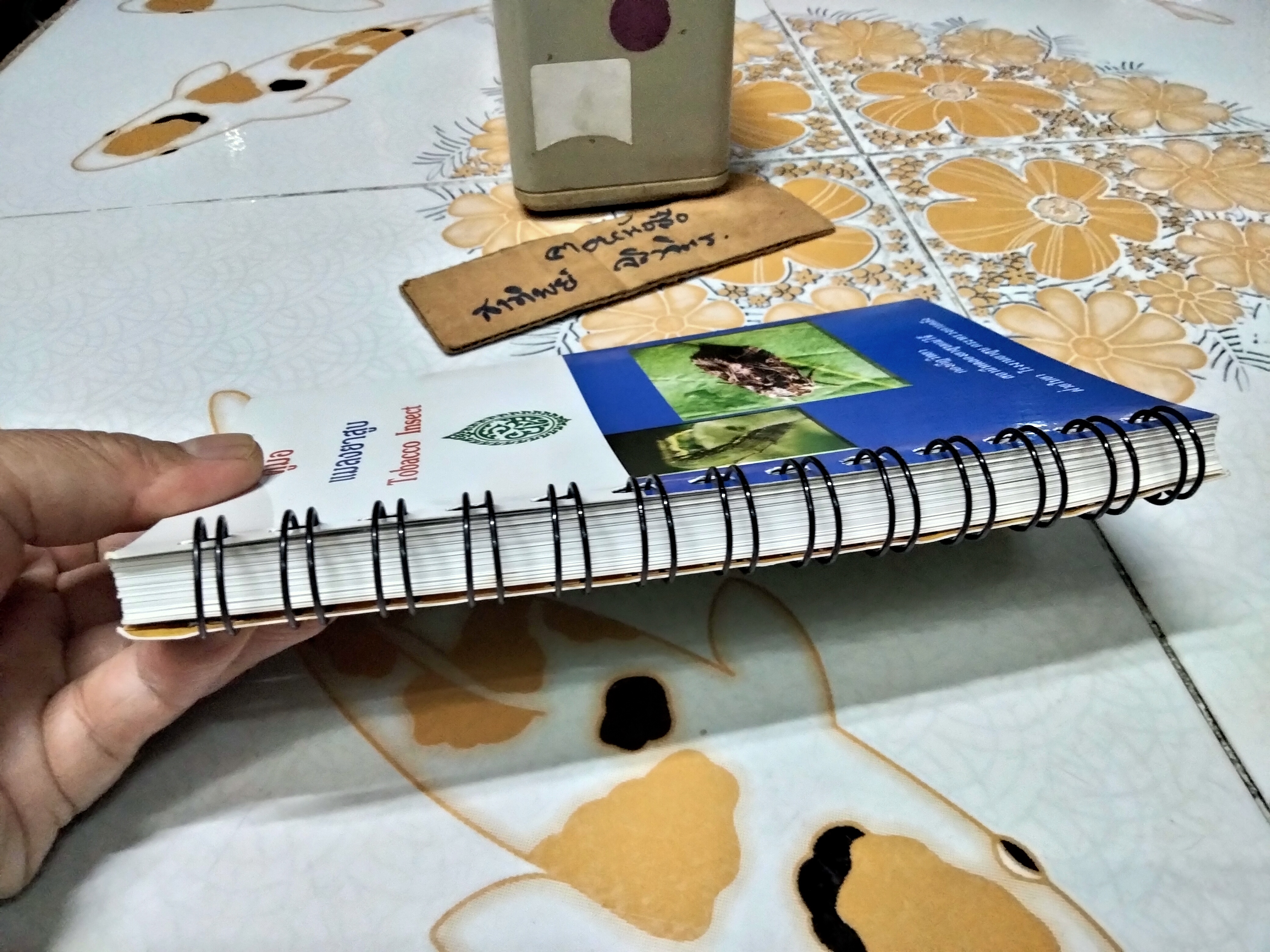 คู่มือ แมลงยาสูบ Tobacco Insect โดย กองกีฏวิทยา สถานีทดลองยาสูบแม่โจ้ (พิมพ์ครั้งแรก 2549 จำนวน 1,000 เล่ม)