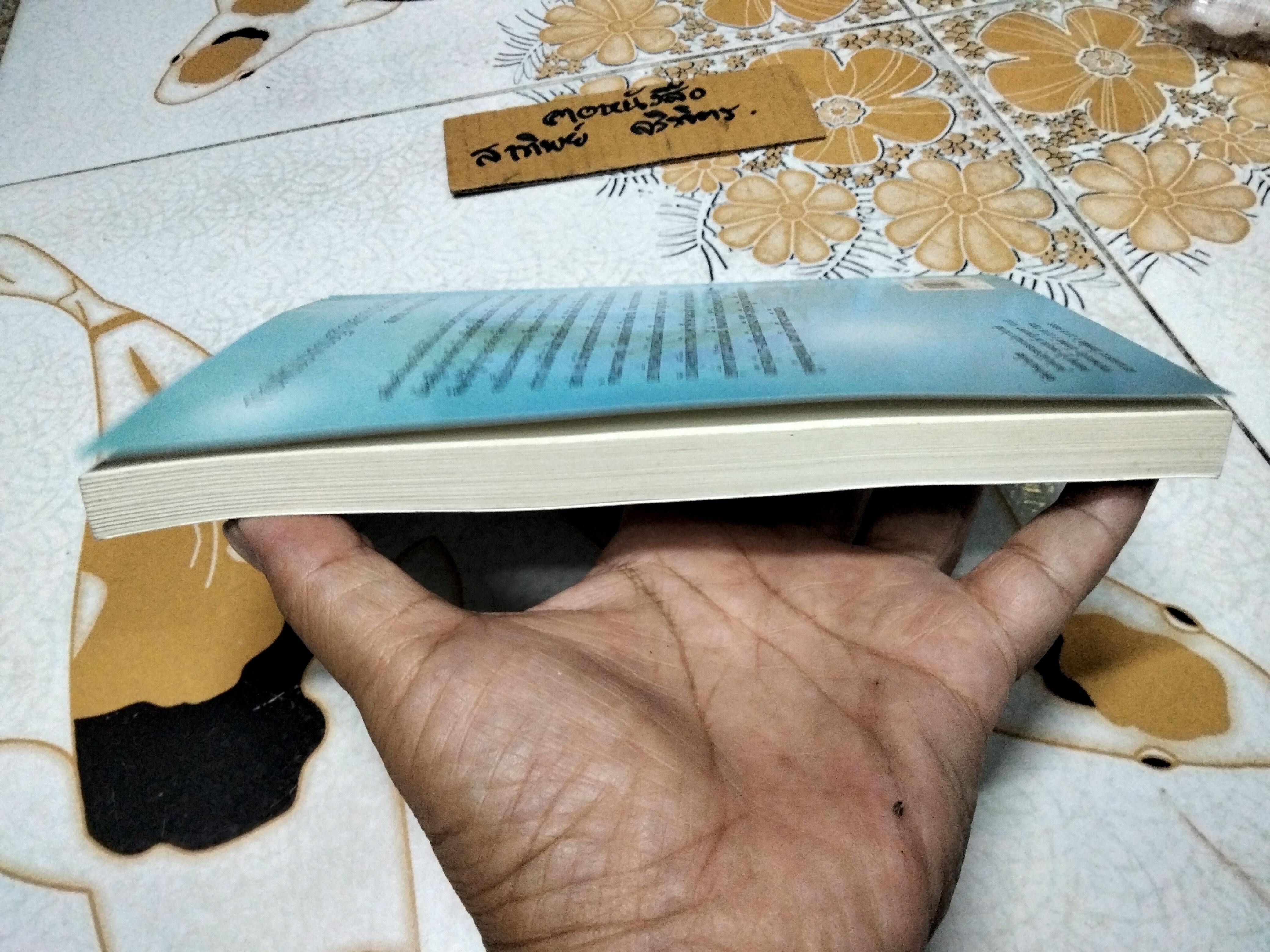 การพัฒนาเศรษฐกิจและการเมืองไทย โดย สมชาย ภคภาสน์วิวัฒน์ , พิมพ์ครั้งที่ 6/2547 **สินค้าหมด**