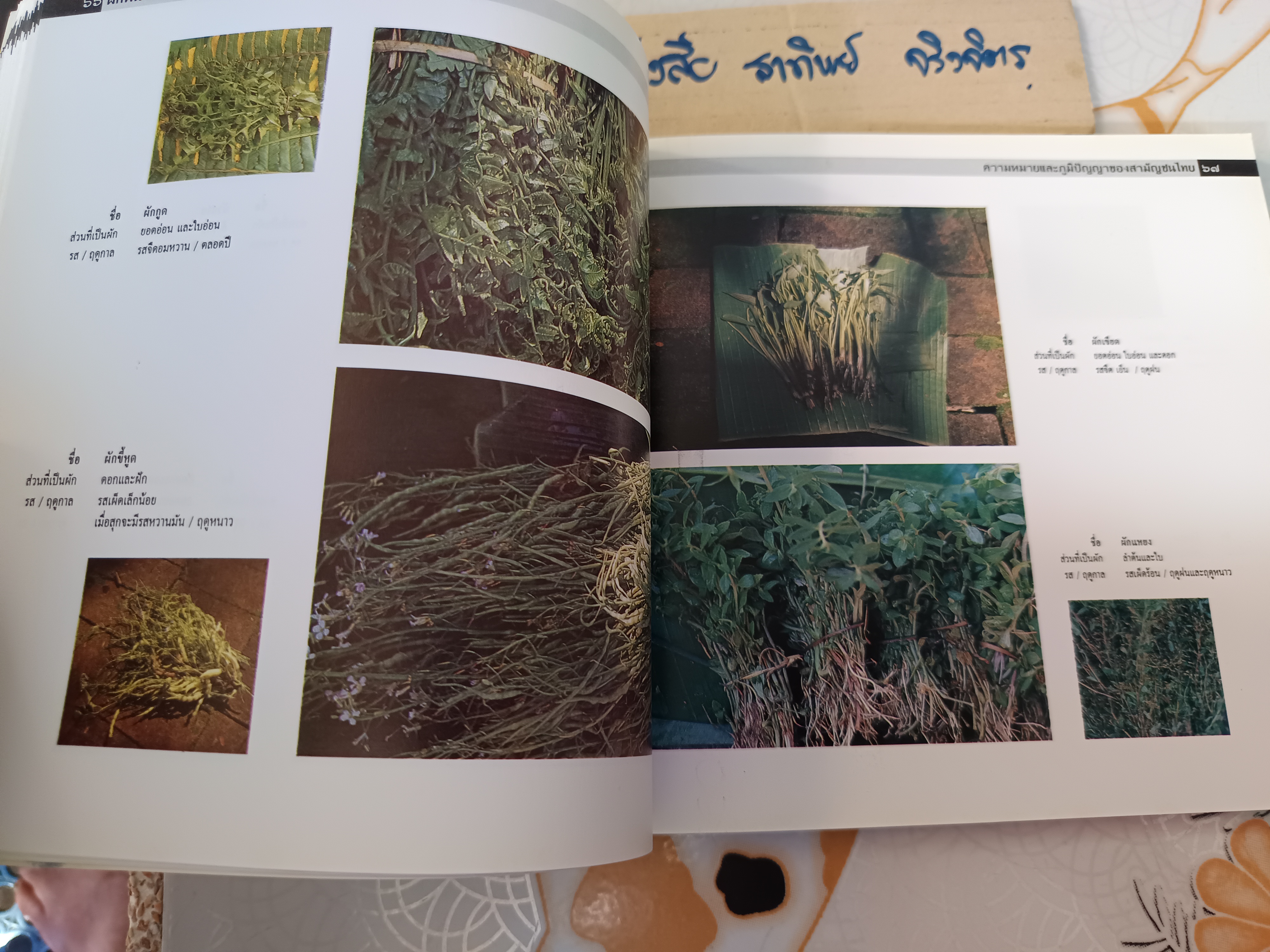 ผักพื้นบ้าน ความหมายและภูมิปัญญาของสามัญชนไทย โดย สถาบันการแพทย์แผนไทย กรมการแพทย์ กระทรวงสาธารณสุข