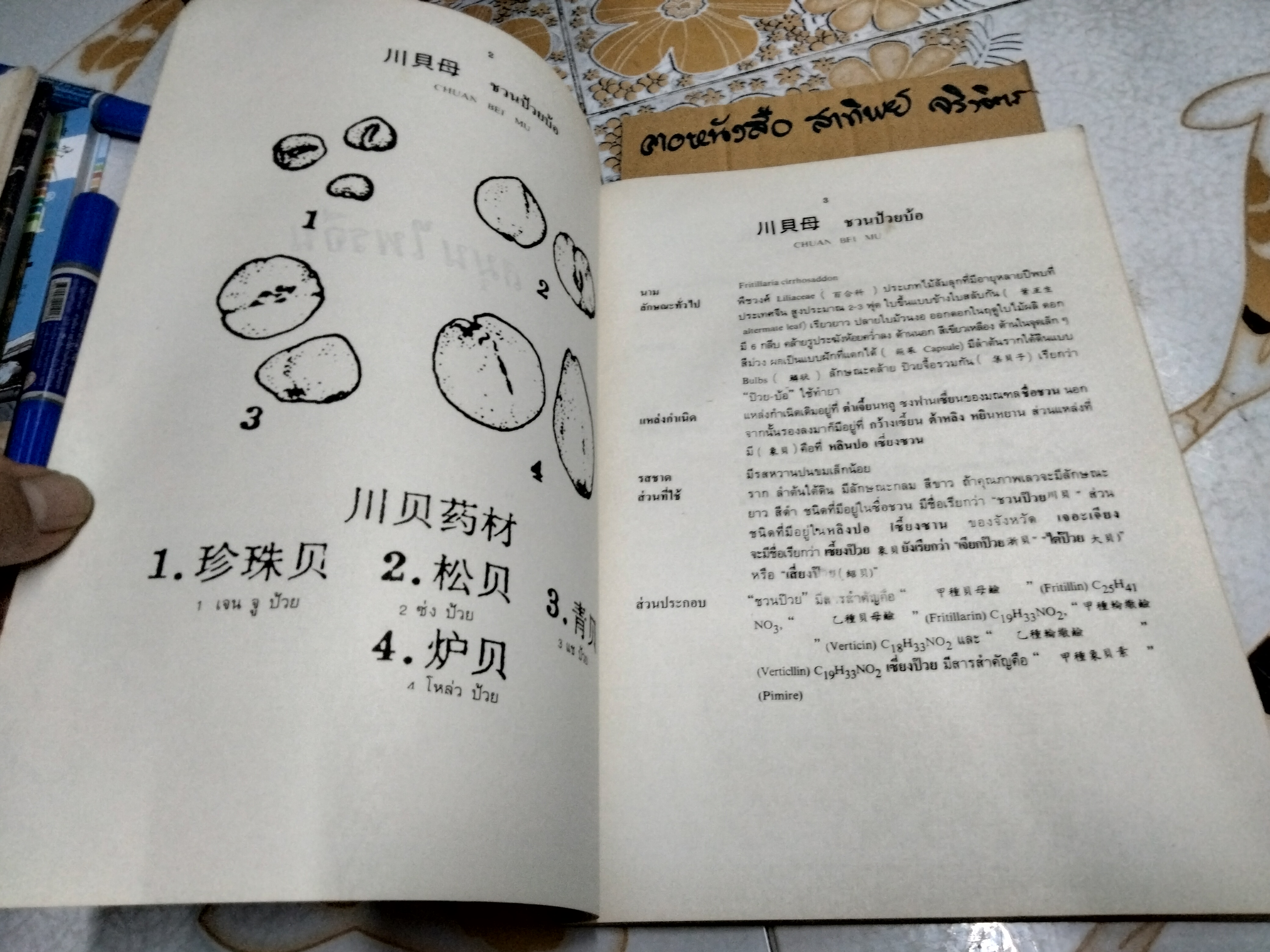 สมุนไพรจีน - รวบรวมเรียบเรียงและจัดพิมพ์ โดย นายเจนกิจ เวชพงศา