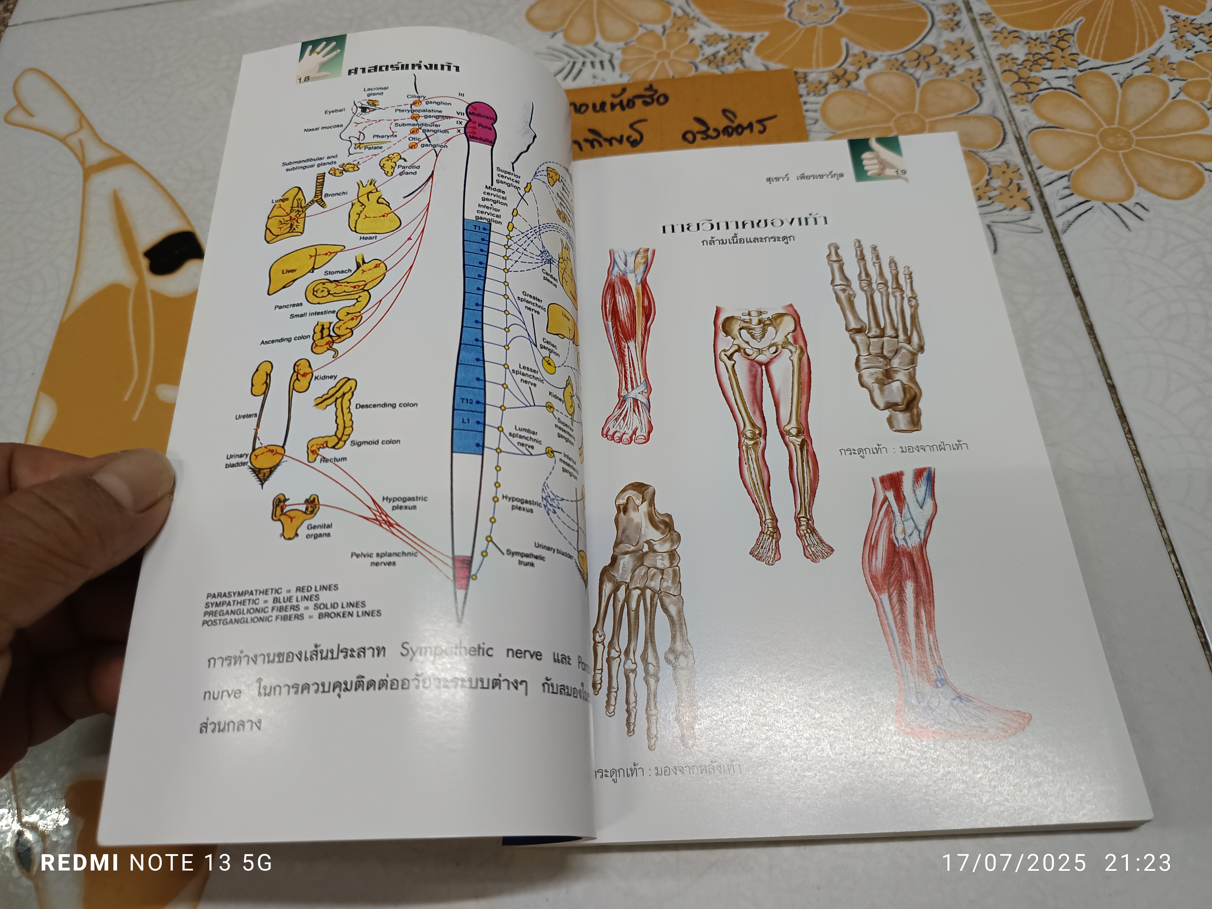 ศาสตร์แห่งเท้า โดย แพทย์จีนสุเชาว์ เพียรเชาว์กุล พิมพ์ครั้งที่ 4/2549 สำนักพิมพ์สุขภาพใจ