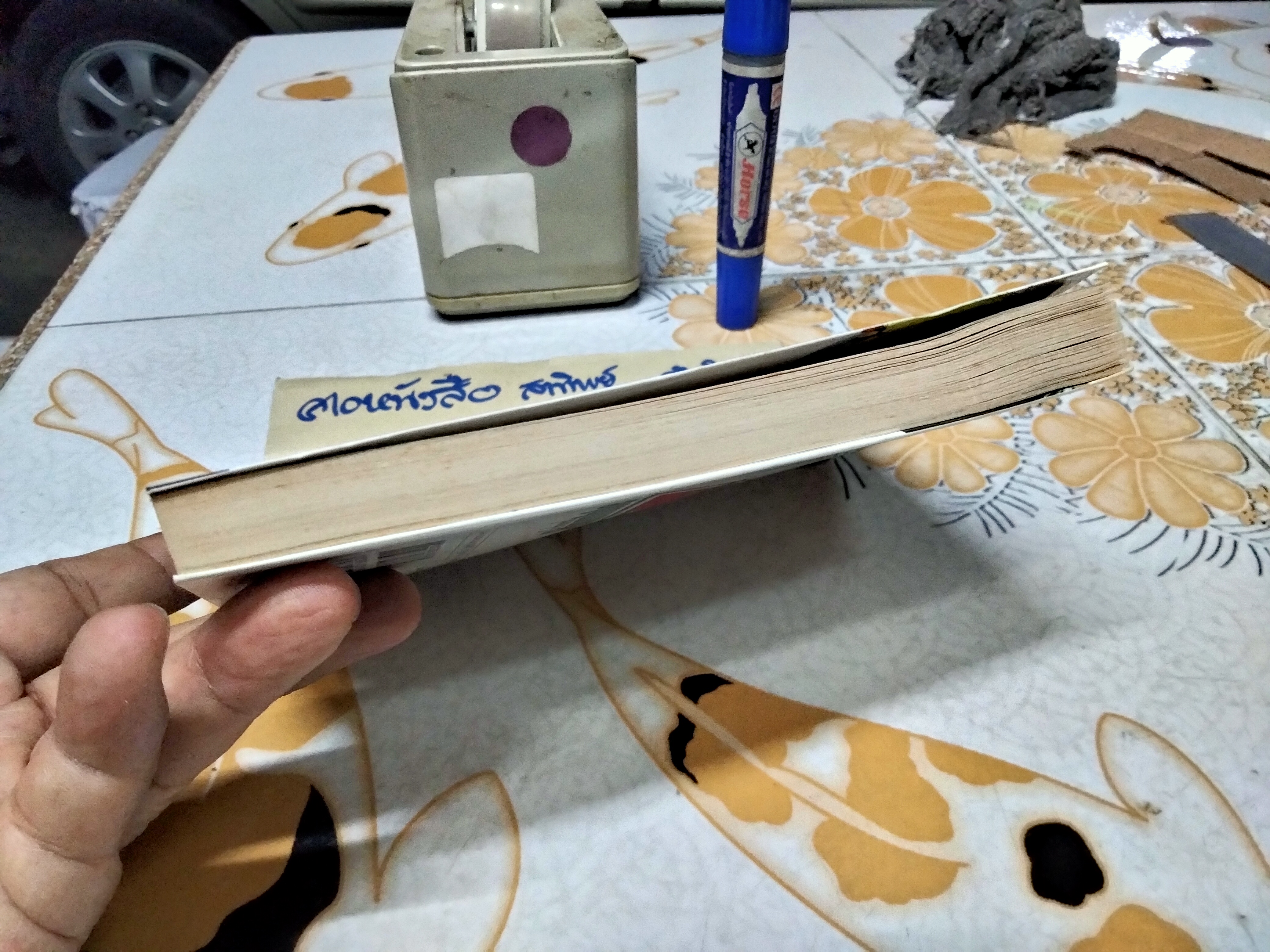 School Rumble Z สูตรรักฉบับนักเรียน เล่มพิเศษ