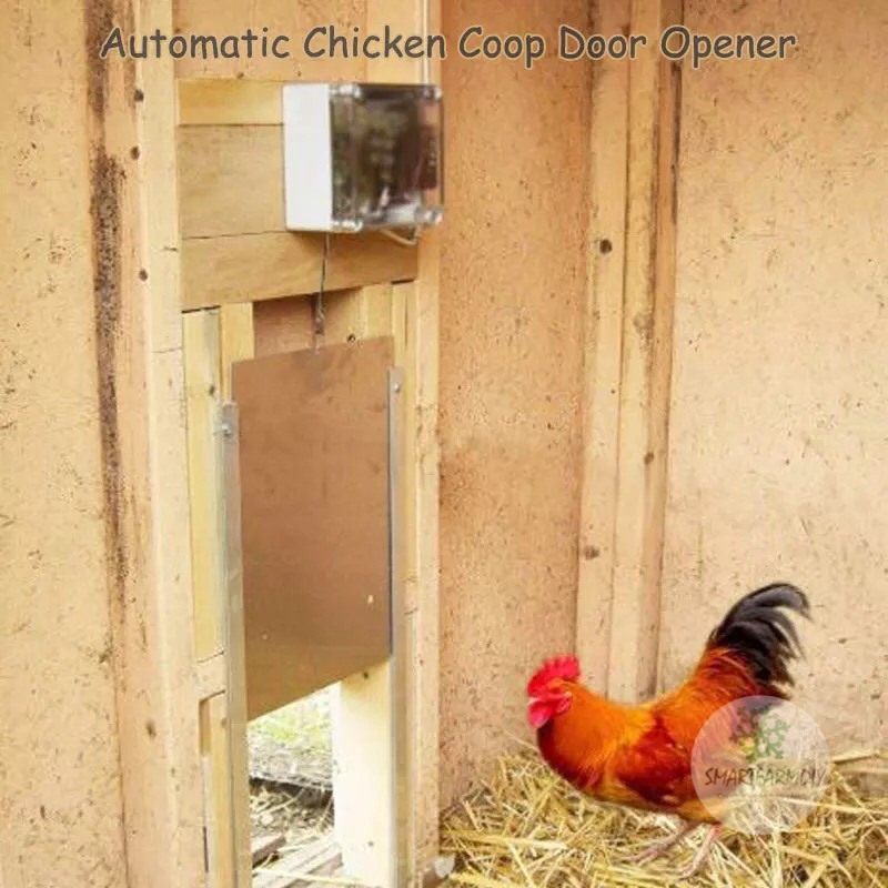 ประตูตั้งเวลา เปิดปิด Automatic Door chicken