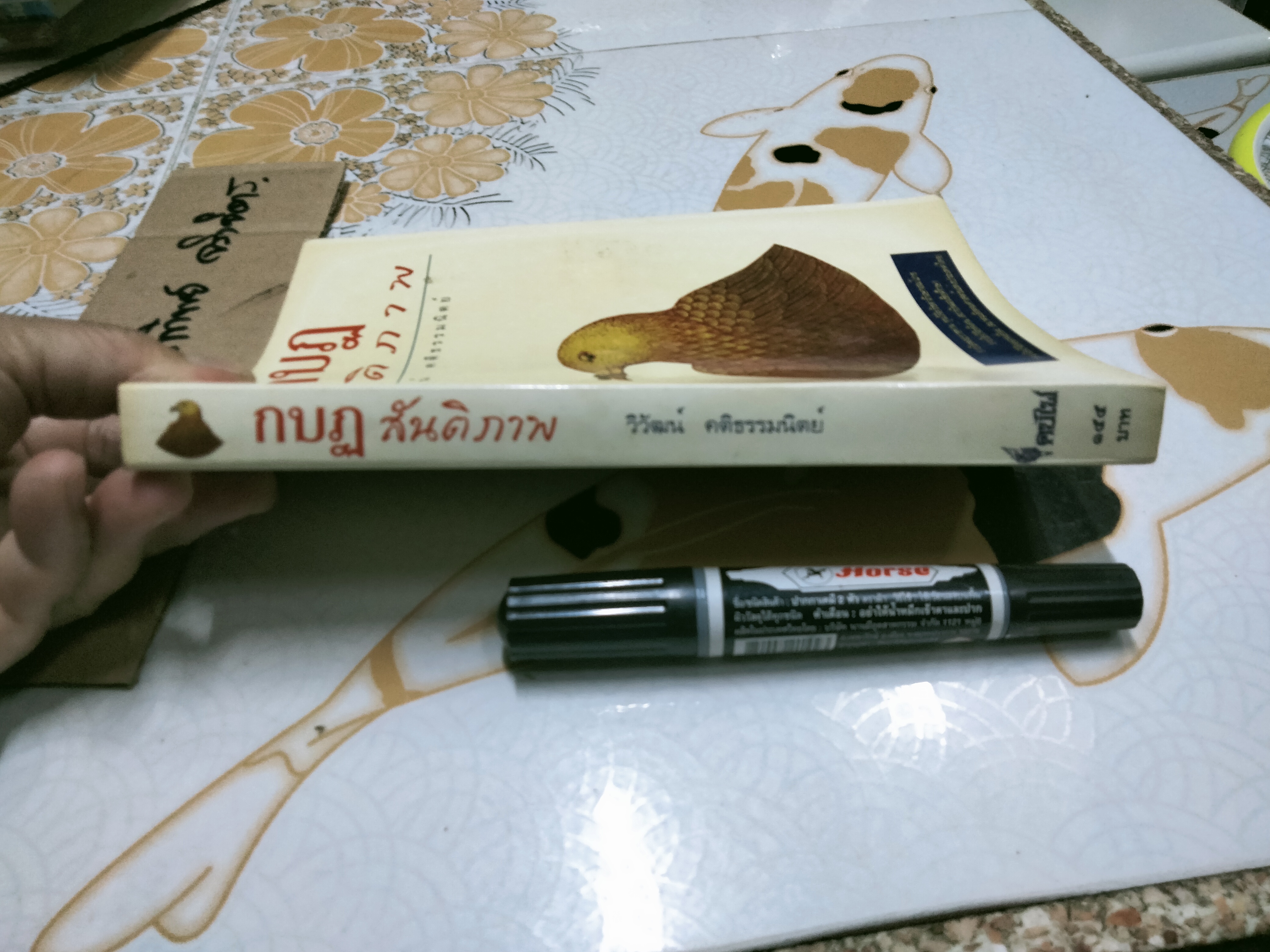 กบฏสันติภาพ โดย วิวัฒน์ คติธรรมนิตย์ **สินค้าหมด**