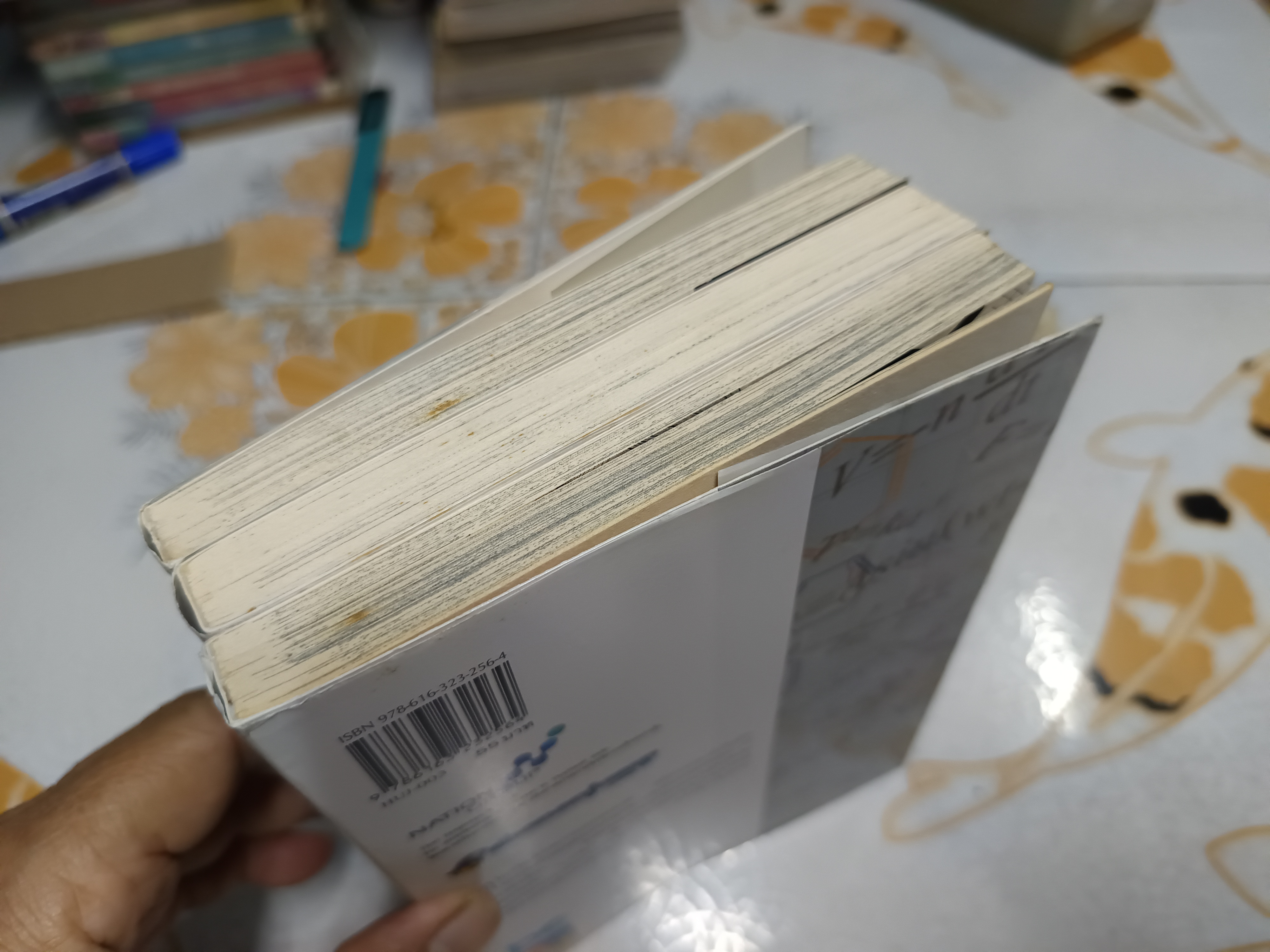 Hungry Joker (3 เล่มจบ) by YUKI TABATA / BOOM COMICS