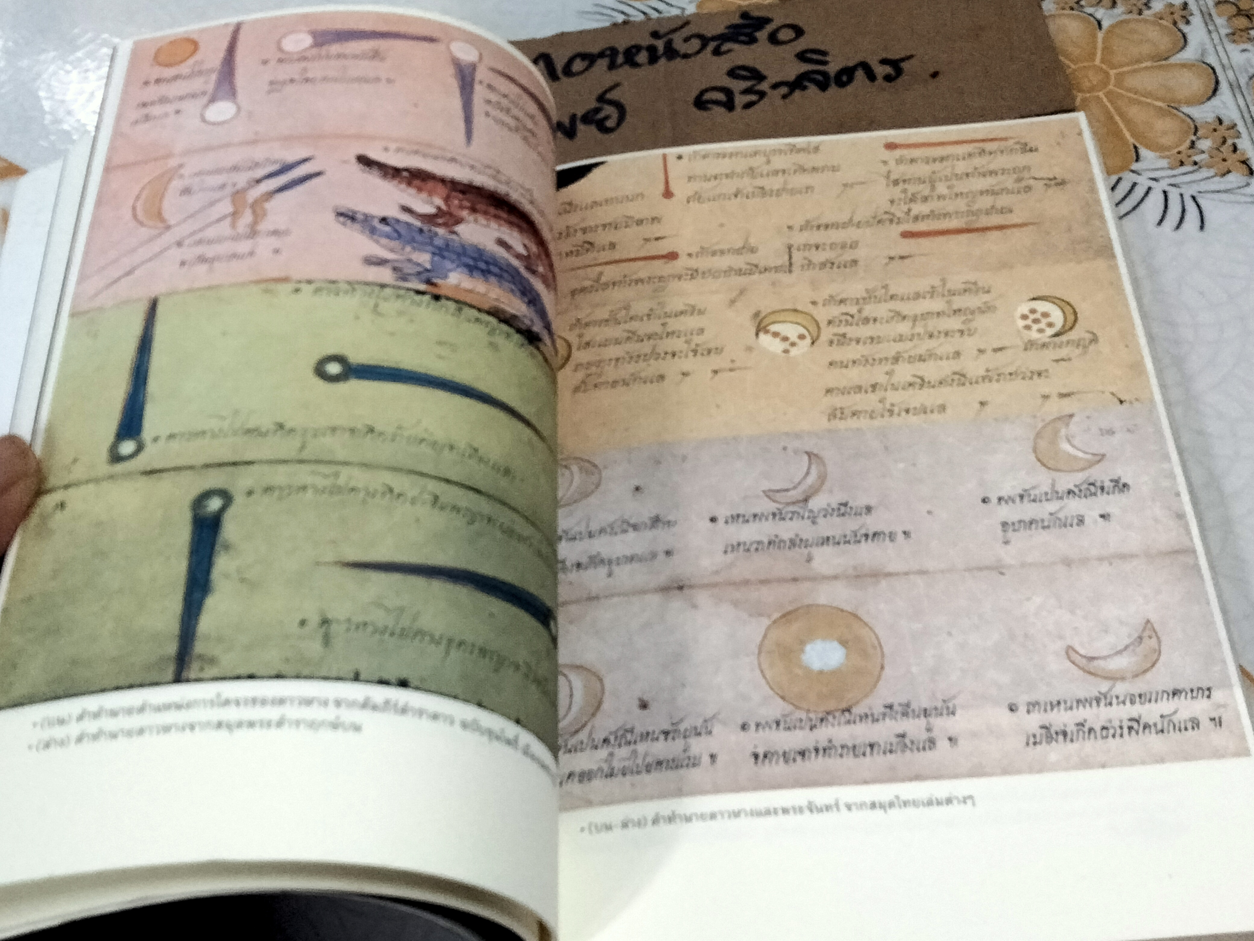 ไทบ้านดูดาว โดย นิพัทธ์พร เพ็งแก้ว - ได้รับคัดเลือกเป็น 1 ใน 100 เล่มหนังสือดีวิทยาศาสตร์ (พ.ศ.2537 - 2548)