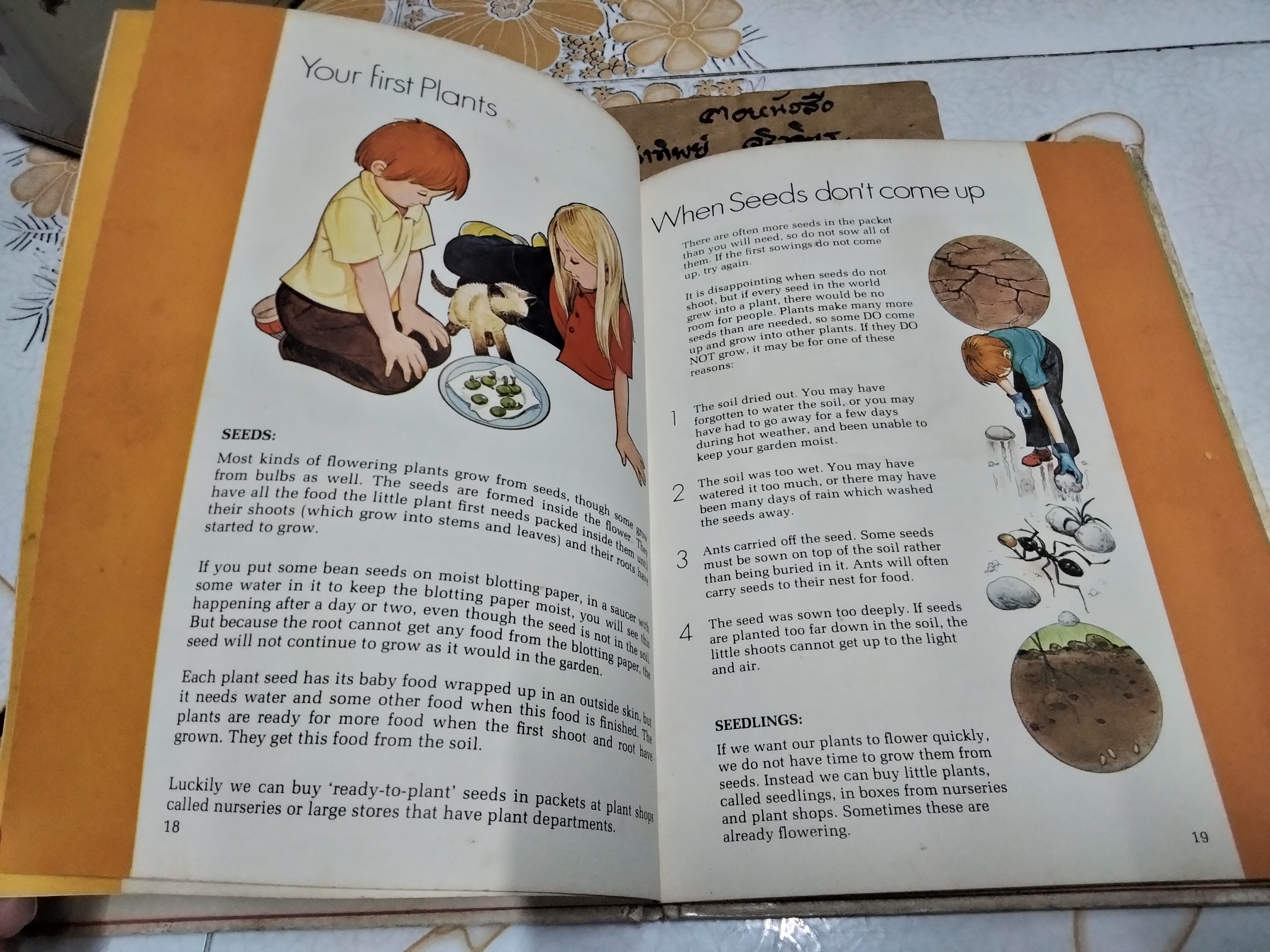 My First gardening book (Vintage) Written by Jessie Boyd * ชำรุด - หน้าหาย 1 คู่ (หน้า 13-14 และ 35-36) **สินค้าหมด**