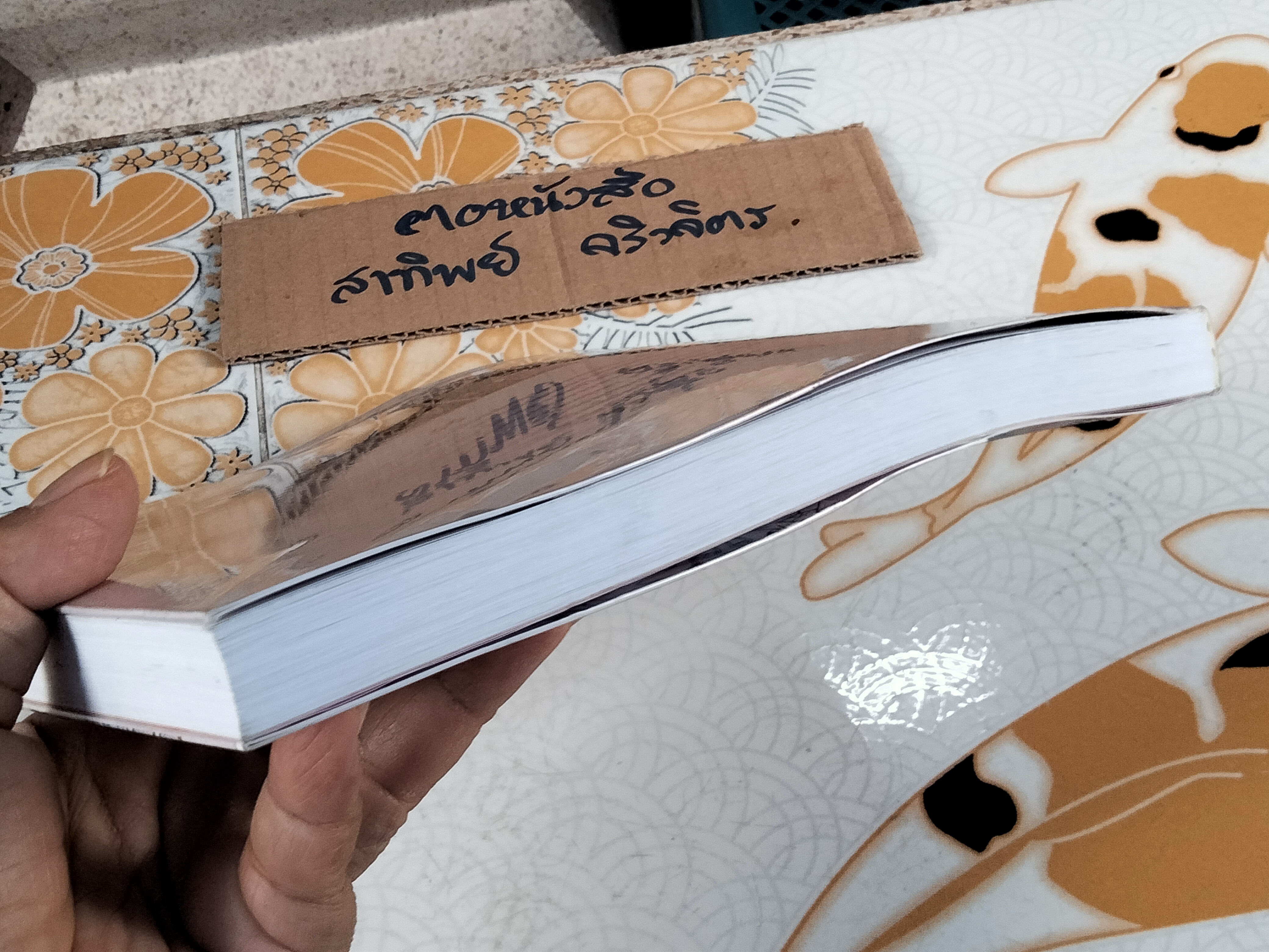 เจ้าแม่กวนอิม (ฉบับการ์ตูน) Cartoon Learning by SKY BOOKS