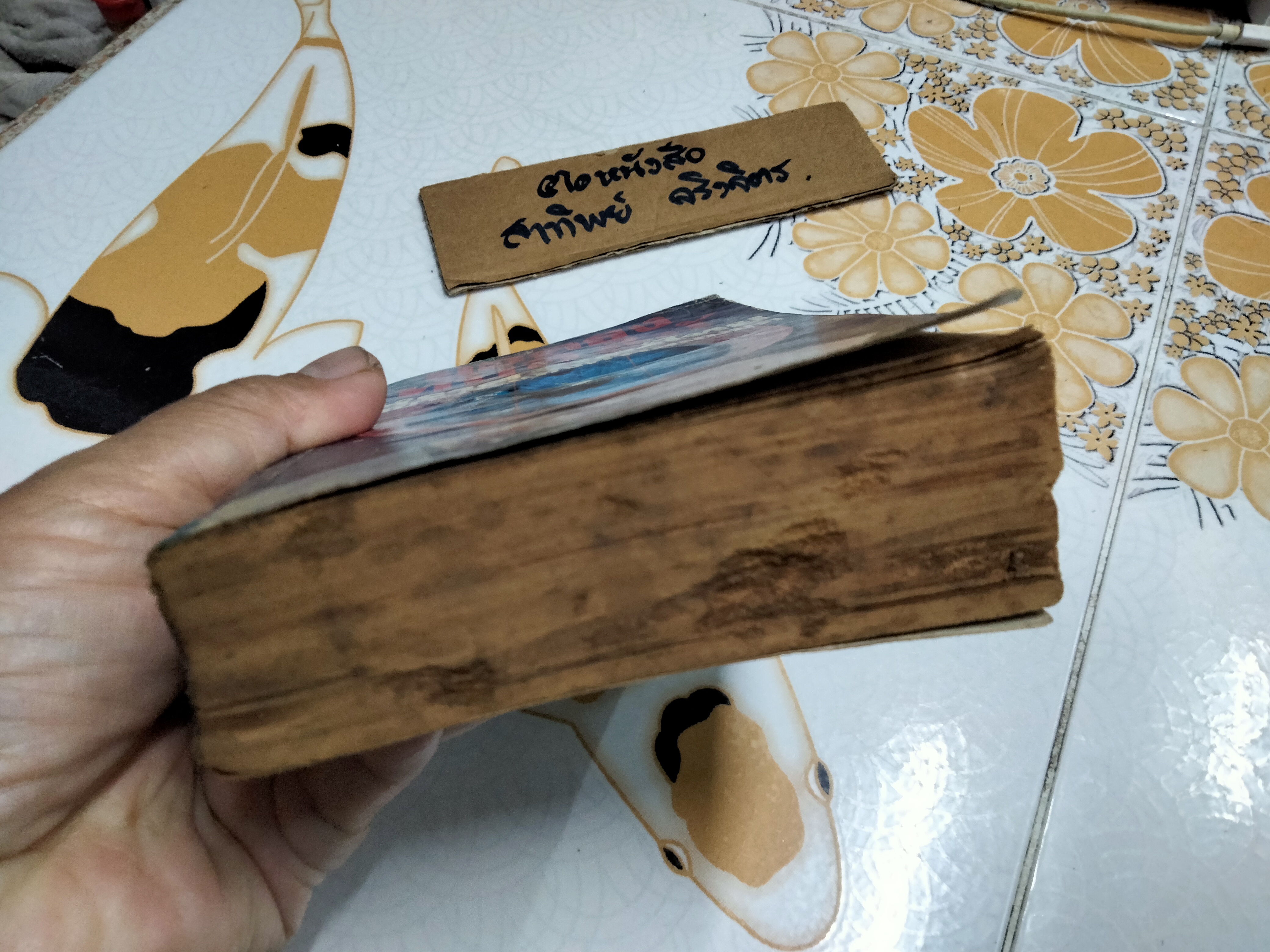 โหราศาสตร์ไทย วิทยาการแห่งความอัปยศ โดย ยอดธง ทับทิวไม้ (สภาพอ่าน) **สินค้าหมด**