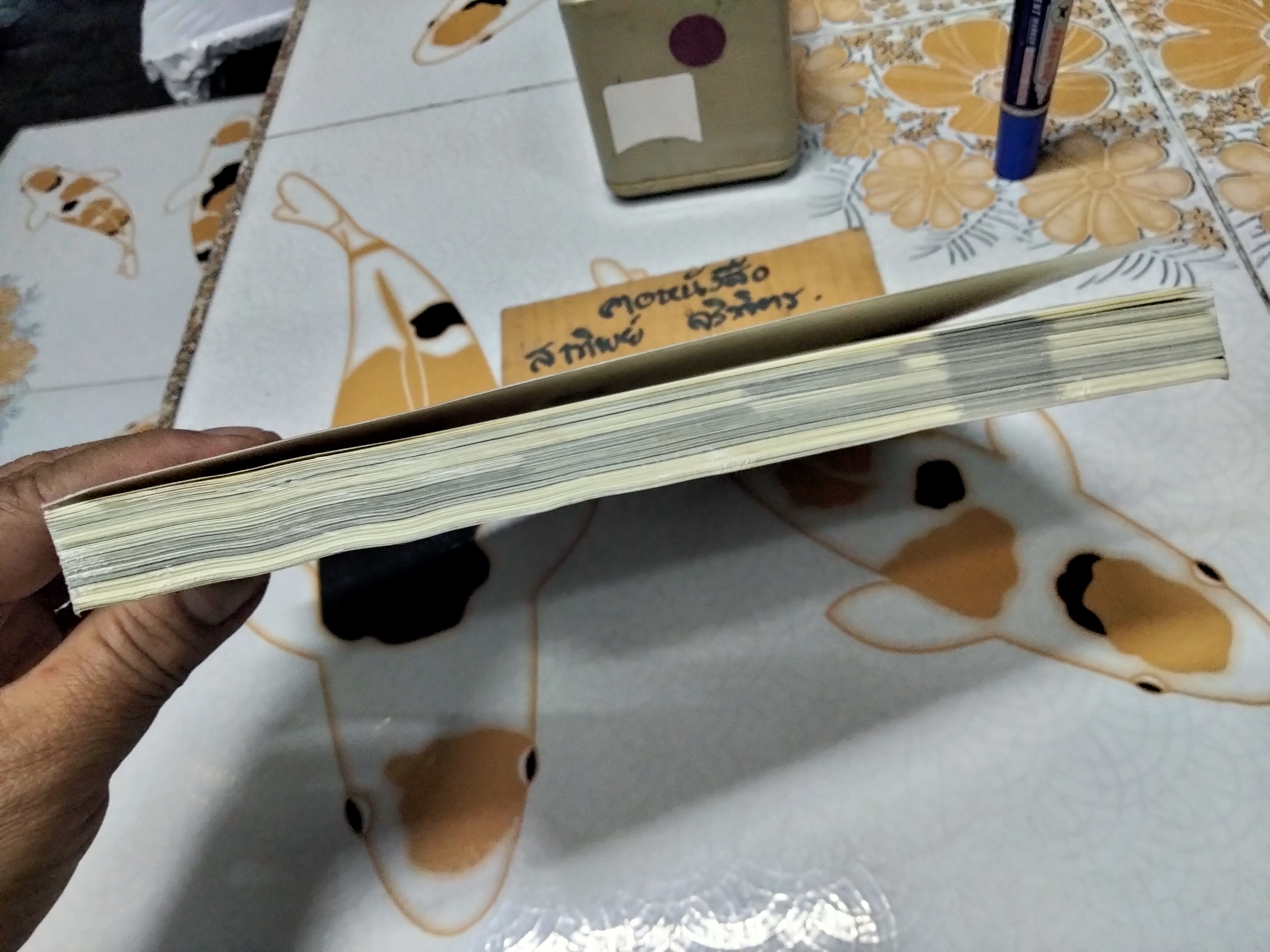 ฝรั่งหลังตะวันตก - ไมเคิล ไรท์ **หนังสือโดนน้ำเป็นคราบ **สินค้าหมด**