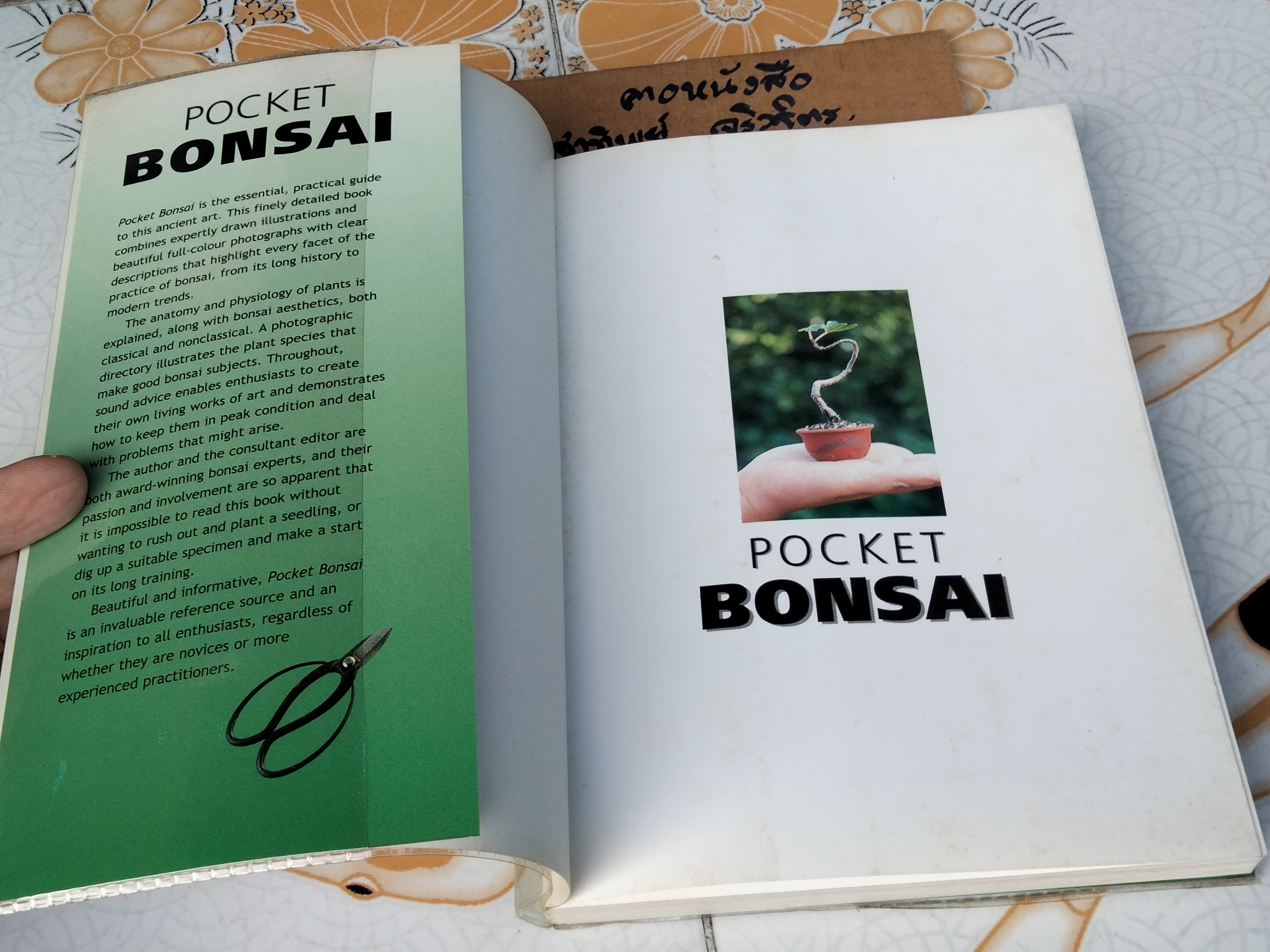 POCKET BONSAI DAVID PRESCOTT, 2004