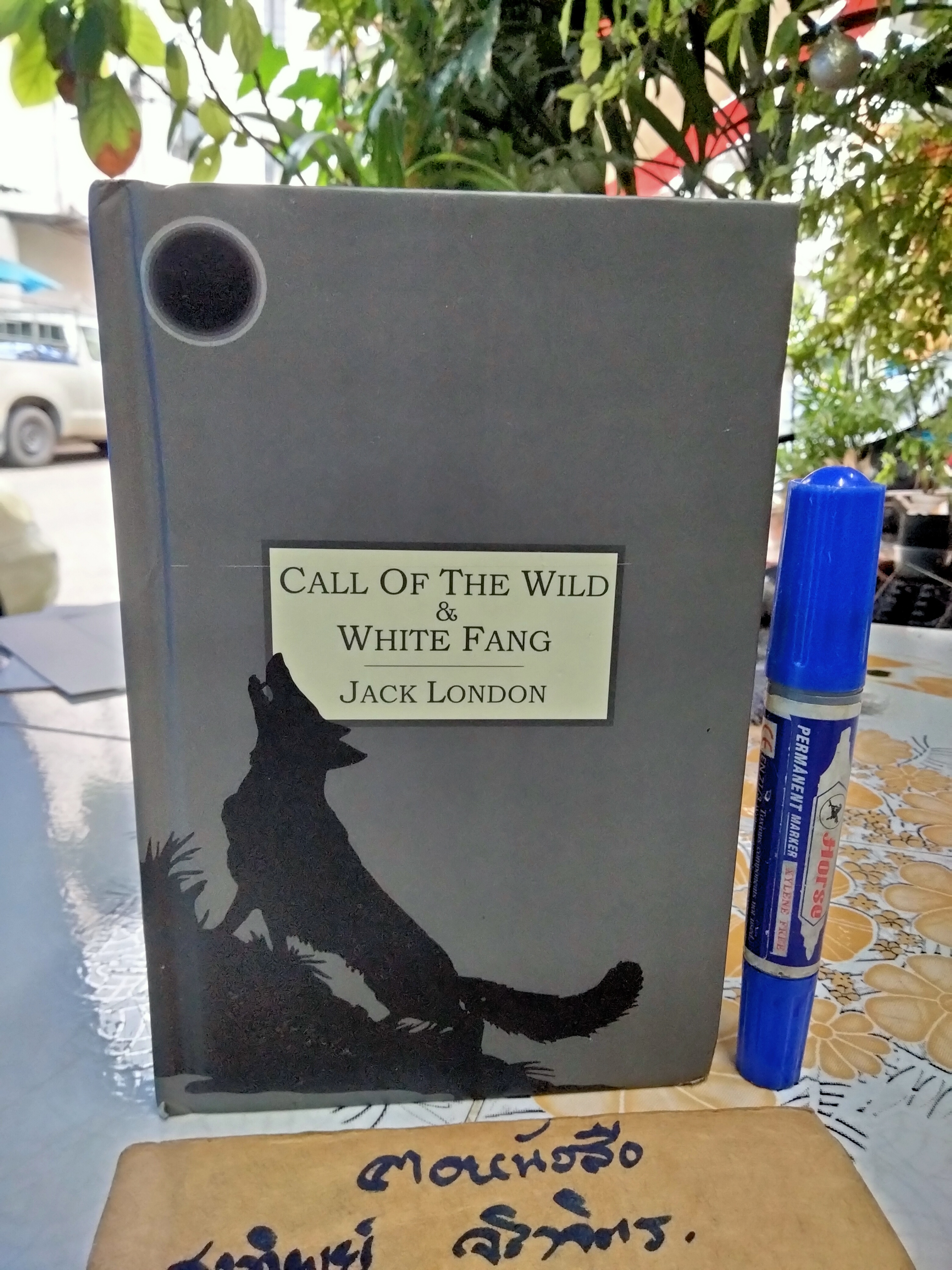 Call of the Wild & White Fang by Jack London . vivi books 2004 ,