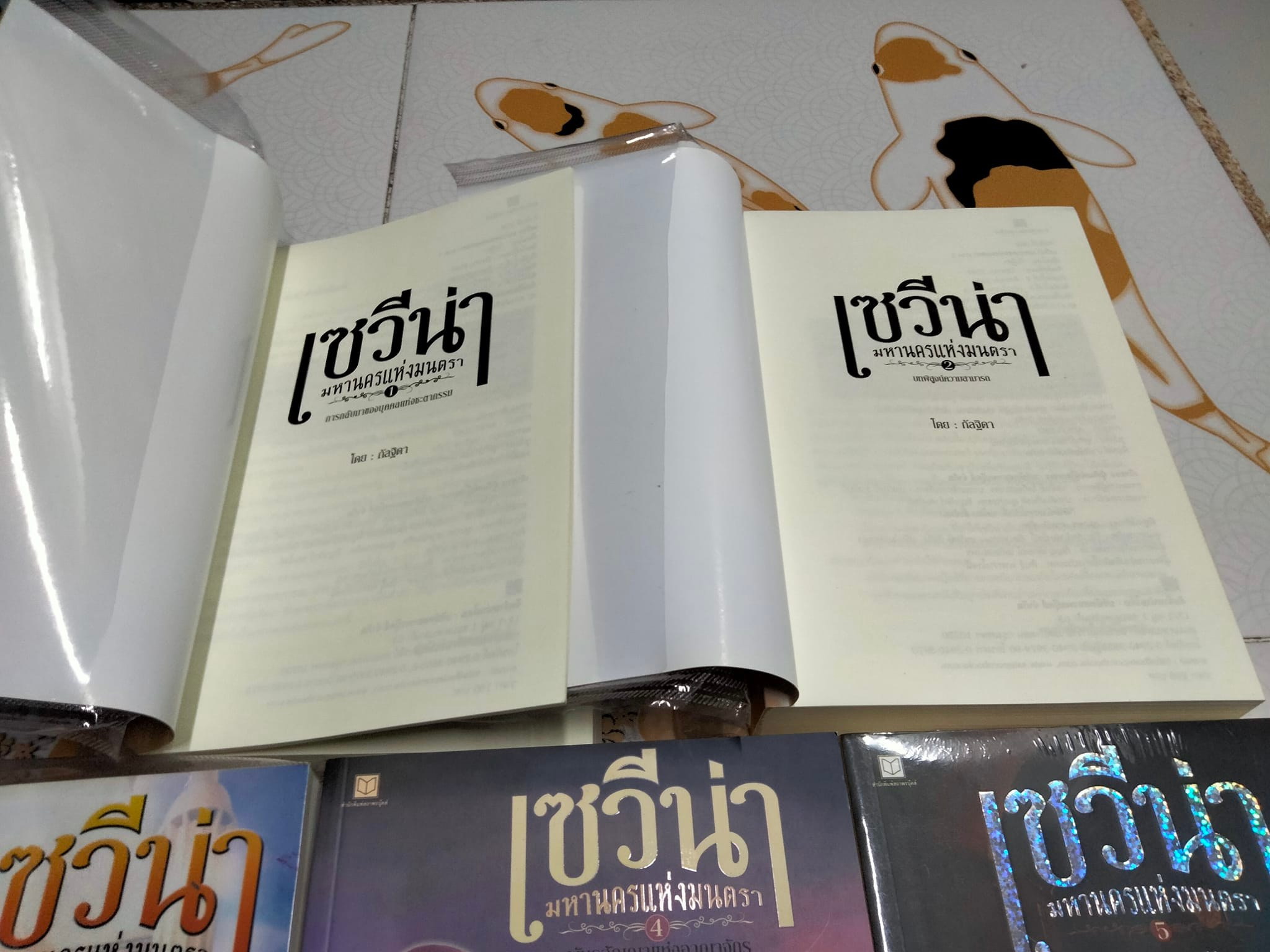 เซวีน่า มหานครแห่งมนตรา (5 เล่มชุด) โดย กัลฐิดา **สินค้าหมด**