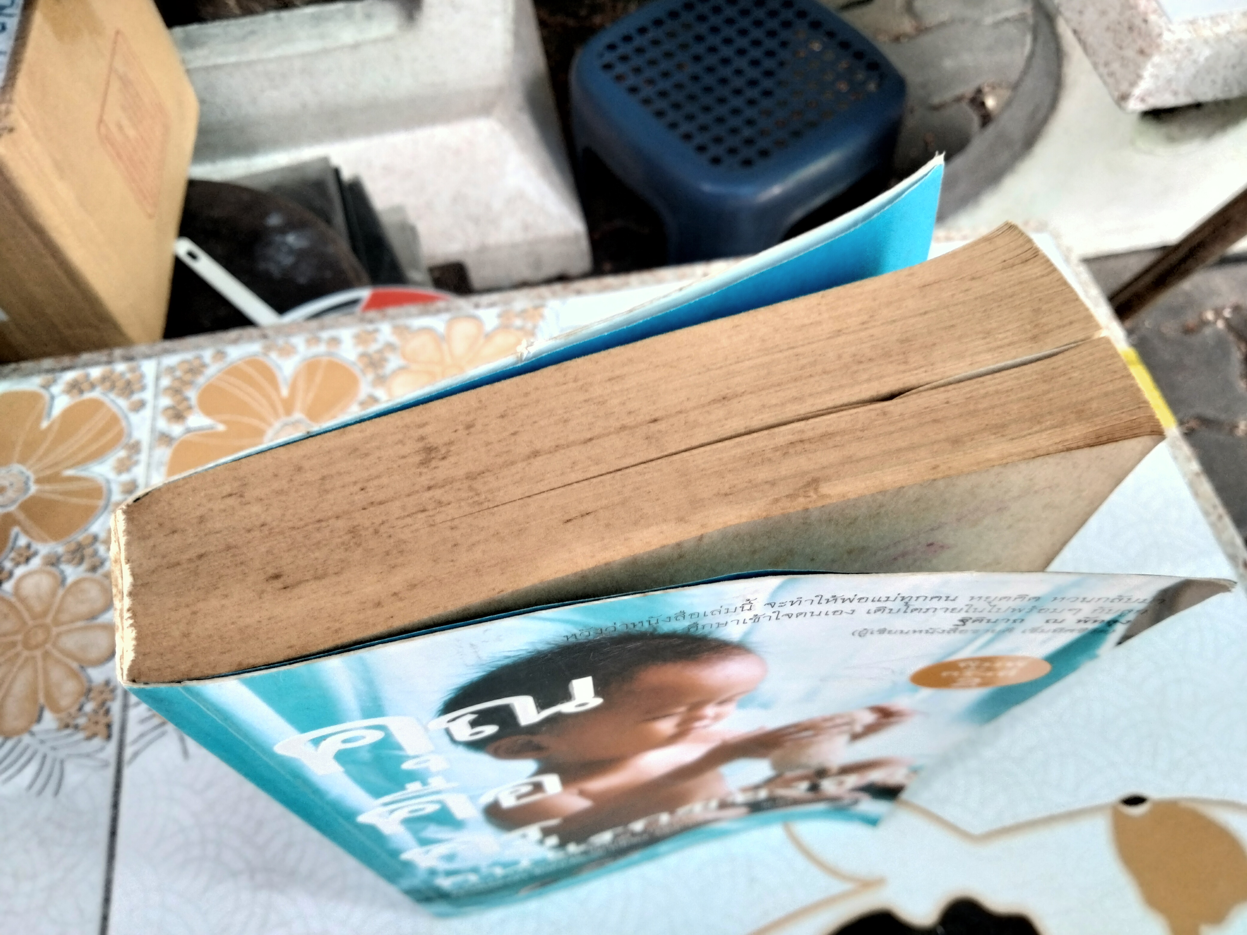 คุณคือคนแรกของลูก Your Are Your Child's First Teacher - ราหิมา บาลด์วิน แดนซี เขียน, สุวรรณา โชคประจักชัด อุชุคตานนท์ แปล