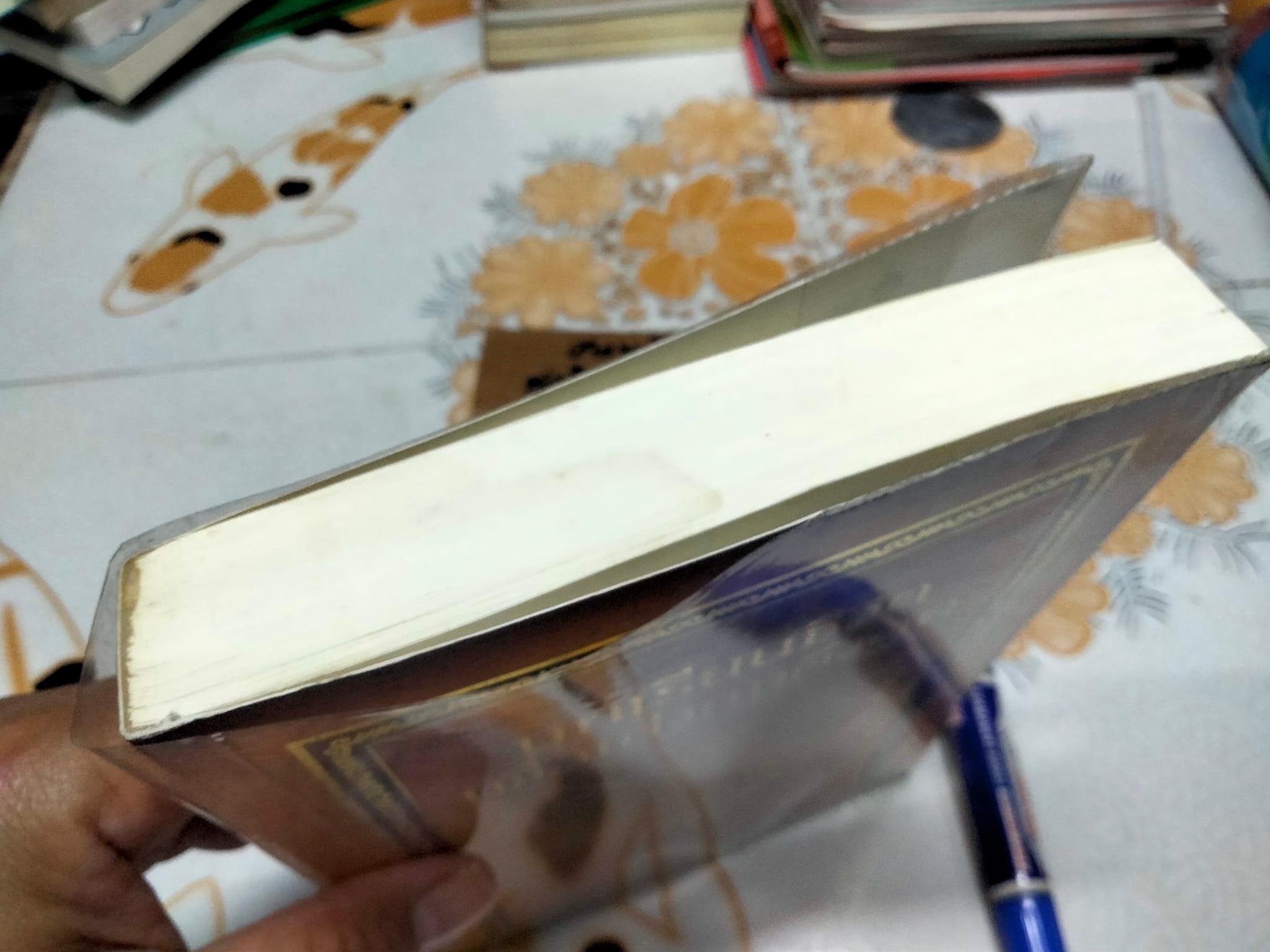 บทเรียนชีวิตเพื่อเก่งกฎดึงดูด โดย แจ๊ด แคนฟีลด์ และ มาร์ก วิคเตอร์ แฮนเซ่น จีนนา กาเบลลินี่ และอีวา เกรกอรี่ เขียน - อัญชลี วิทยะ แปล (มีคราบน้ำจางๆ) **สินค้าหมด**