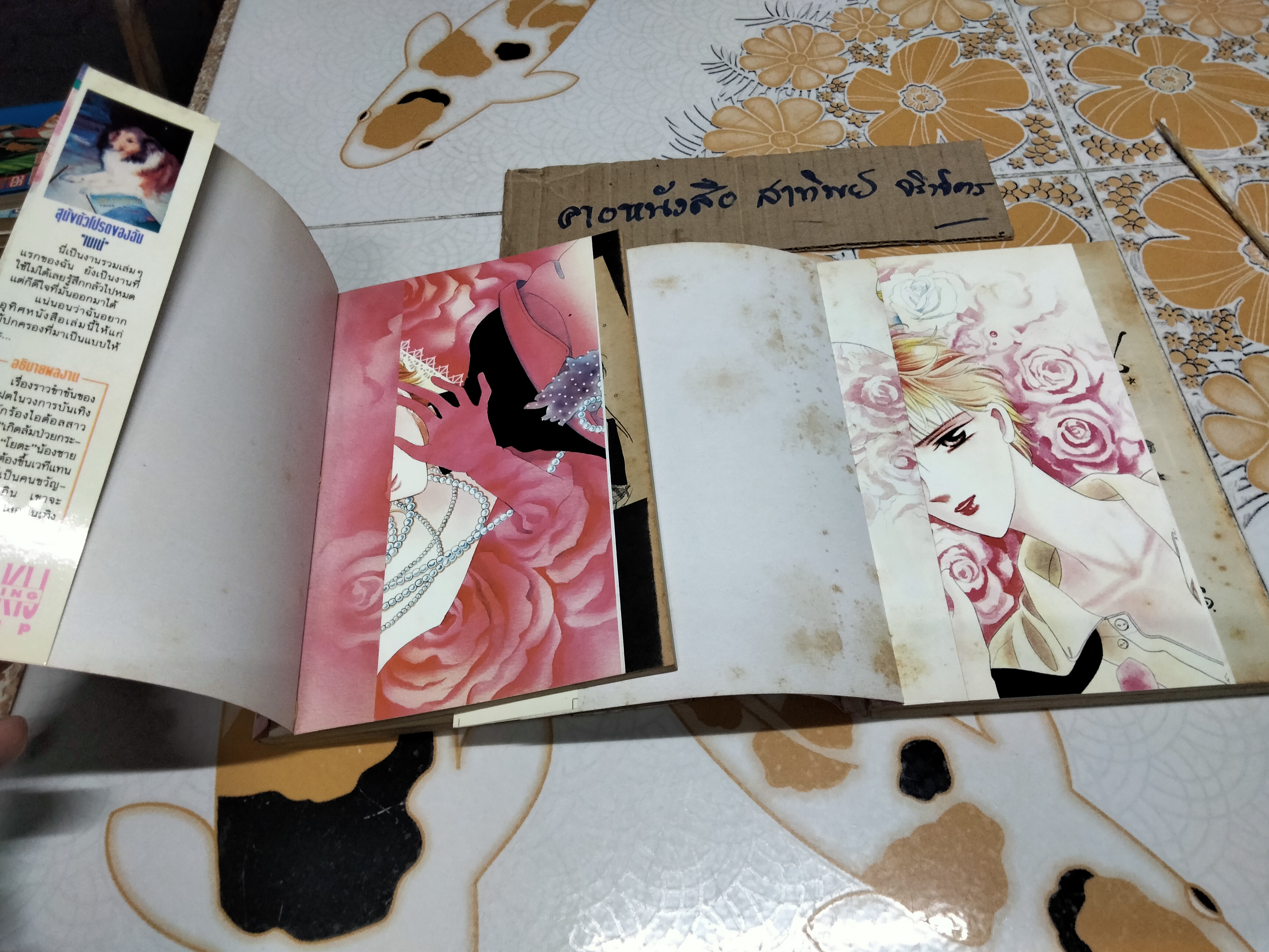 หนังสือการ์ตูน BROTHER SON SISTER MOON (2 เล่มจบ) RIE NAKAMURA **สินค้าหมด**