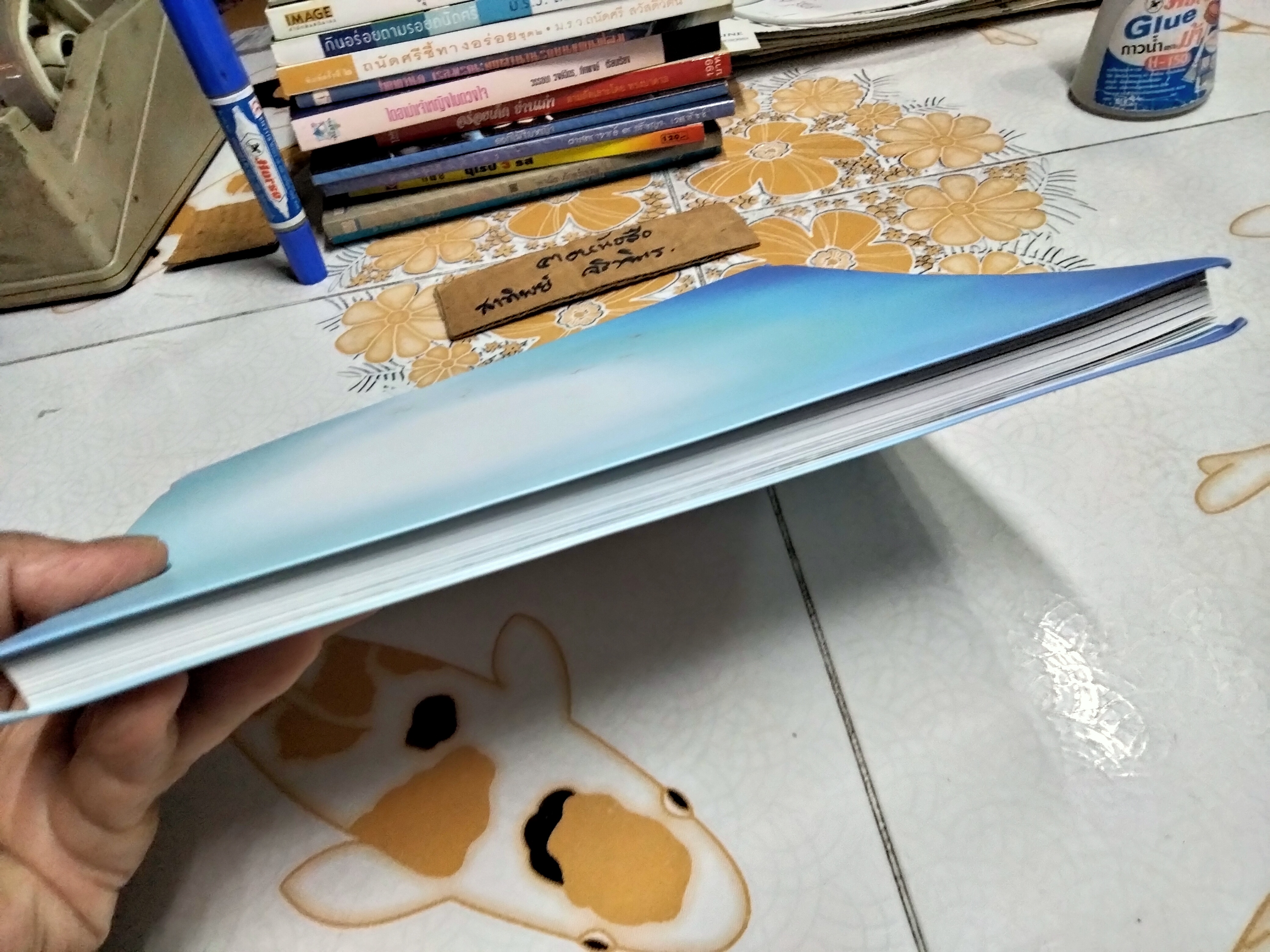 ปัญญาปทีโปนุสรณ์ หนังสือที่ระลึกงานพระราชทานเพลิงสรีระสังขารหลวงปู่เปลี่ยน ปัญญาปทีโป **สินค้าหมด**