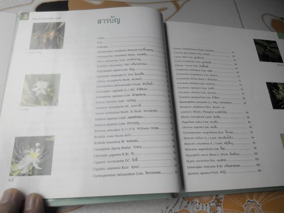 พืชสมุนไพรในประเทศไทย ตอนที่ 1 (ปกแข็ง) **สินค้าหมด**