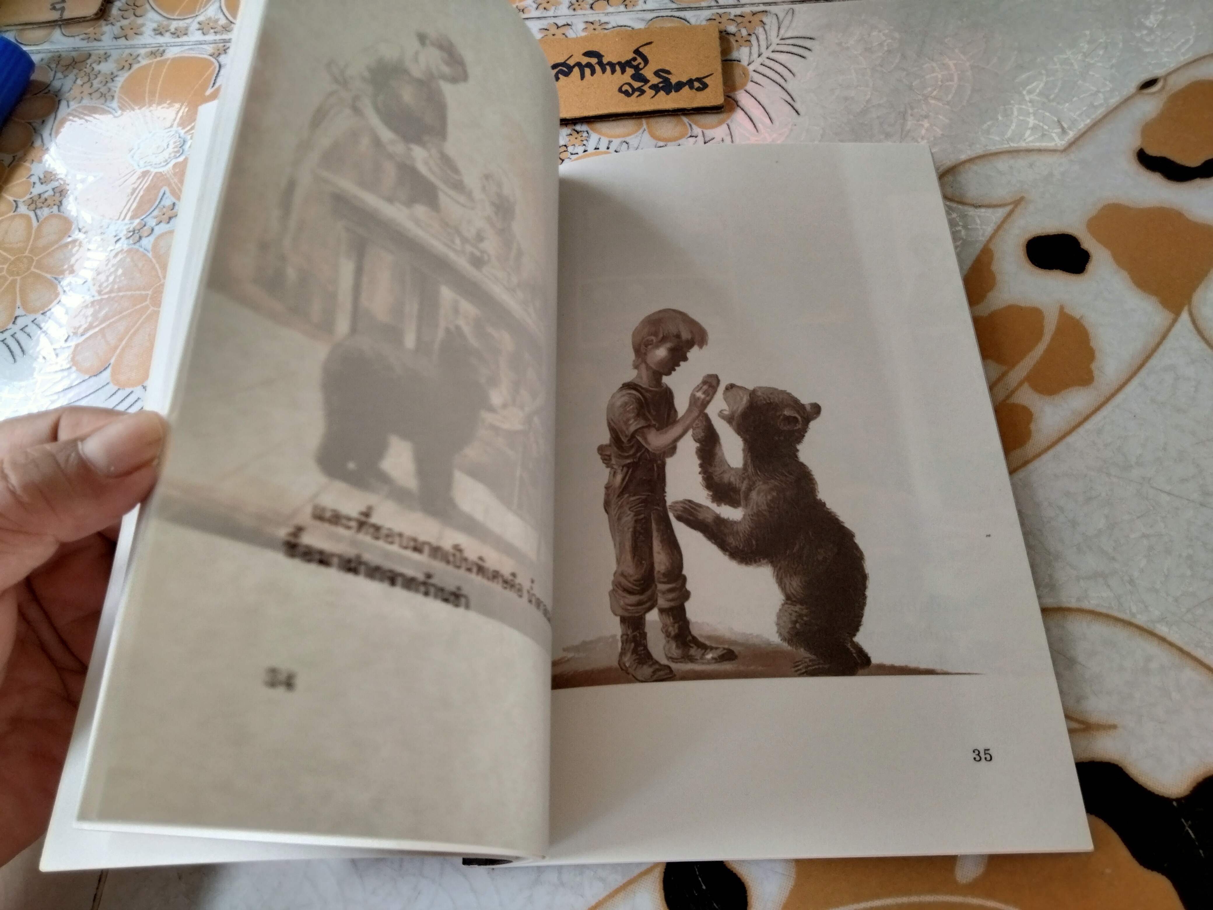 หมีตัวใหญ่ที่สุด The Big Bear นิทาน scg เรื่องและภาพ : ลินด์ วอร์ด แปลโดย : ดร. ชัยวัฒน์ วิบูลย์สวัสดิ์ พิมพ์ครั้งแรก พ.ศ 2555 **สินค้าหมด**