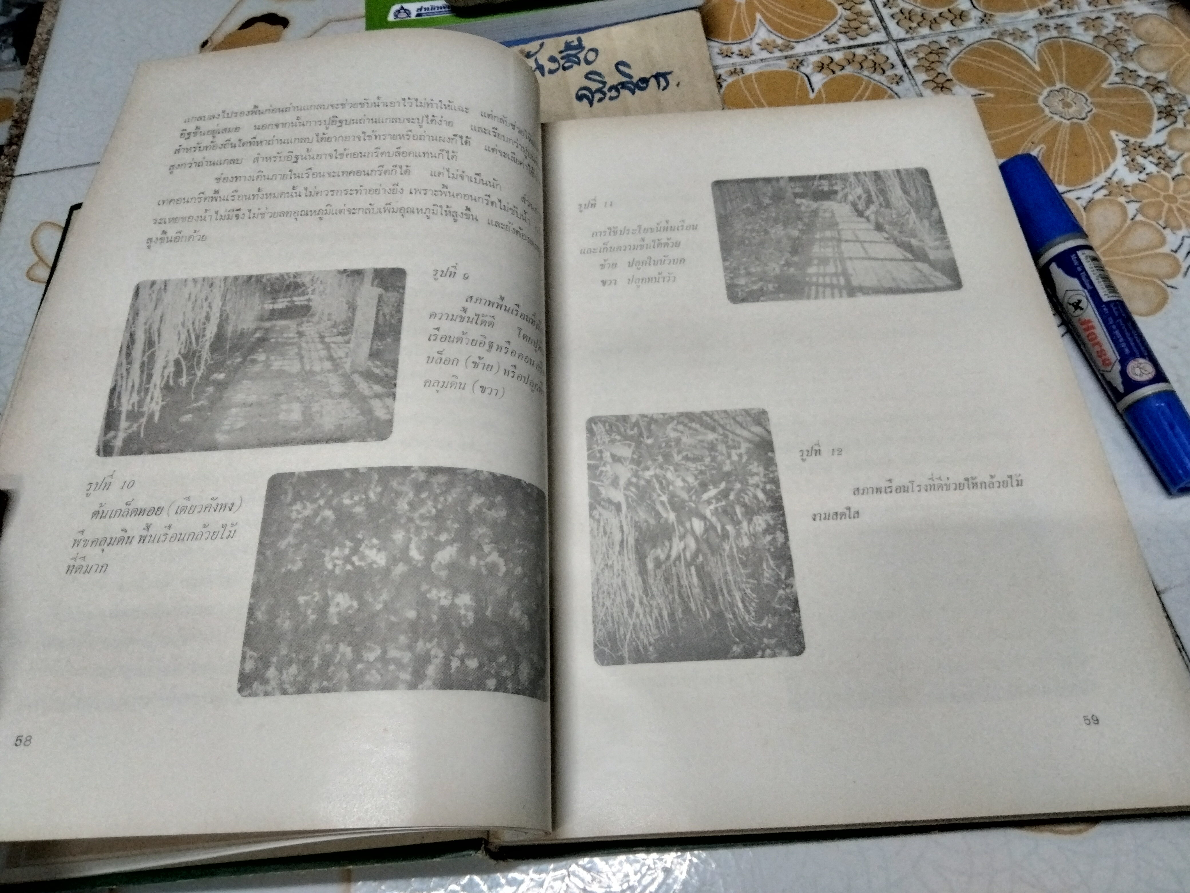 ตำรากล้วยไม้สำหรับผู้เริ่มต้น โดย ไพบูลย์ ไพรีพ่ายฤทธิ์ พิมพ์ครั้งแรก ธันวาคม 2521