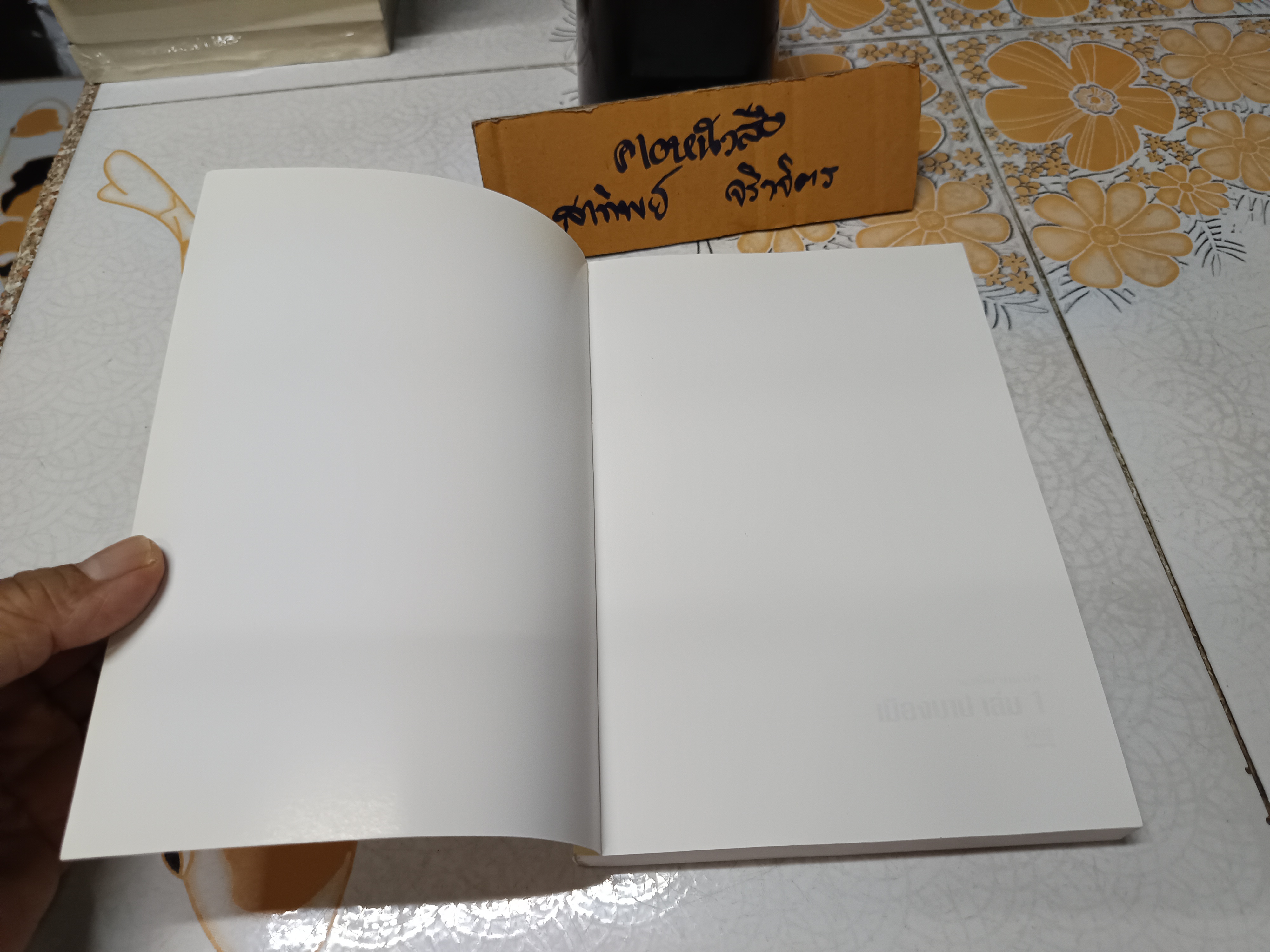 เมืองบาป Vol.1 (Amagansett) ผลงานของ มาร์ก มิลส์