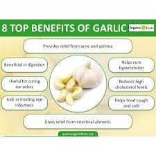 (Wakunaga®) KYOLIC® Aged Garlic Extract™ 100 แคปซูล Kyolic, Aged Garlic Extract, Cardiovascular ไคโอลิค กระเทียมบ่มสกัดไร้กลิน ออร์แกนิค สูตรดั้งเดิม