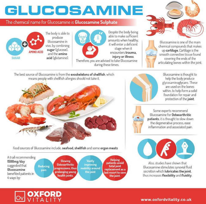 21st Century® Glucosamine Relief 500 mg 60 Capsules Easy Swallow กลูโคซามีน ช่วยบำรุงข้อต่อ ลดการเสื่อมของกระดูกอ่อน เหมาะสำหรับผู้มีอาการปวดข้อ