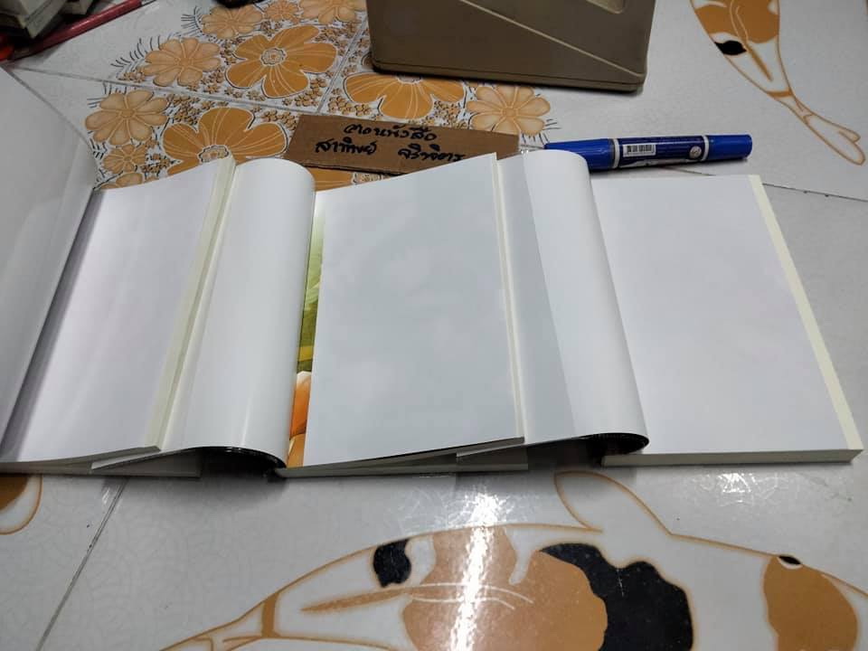 จอมเวทบุปผาแดง 1+2+3 (จบ) นิยายแฟนตาซี Light Novel Nagano Mizuki เขียน , ohohoh แปล