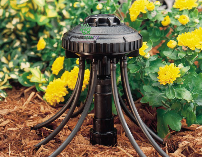 8 Outlet Distribution Device ฟิลเตอร์ 1 GPH