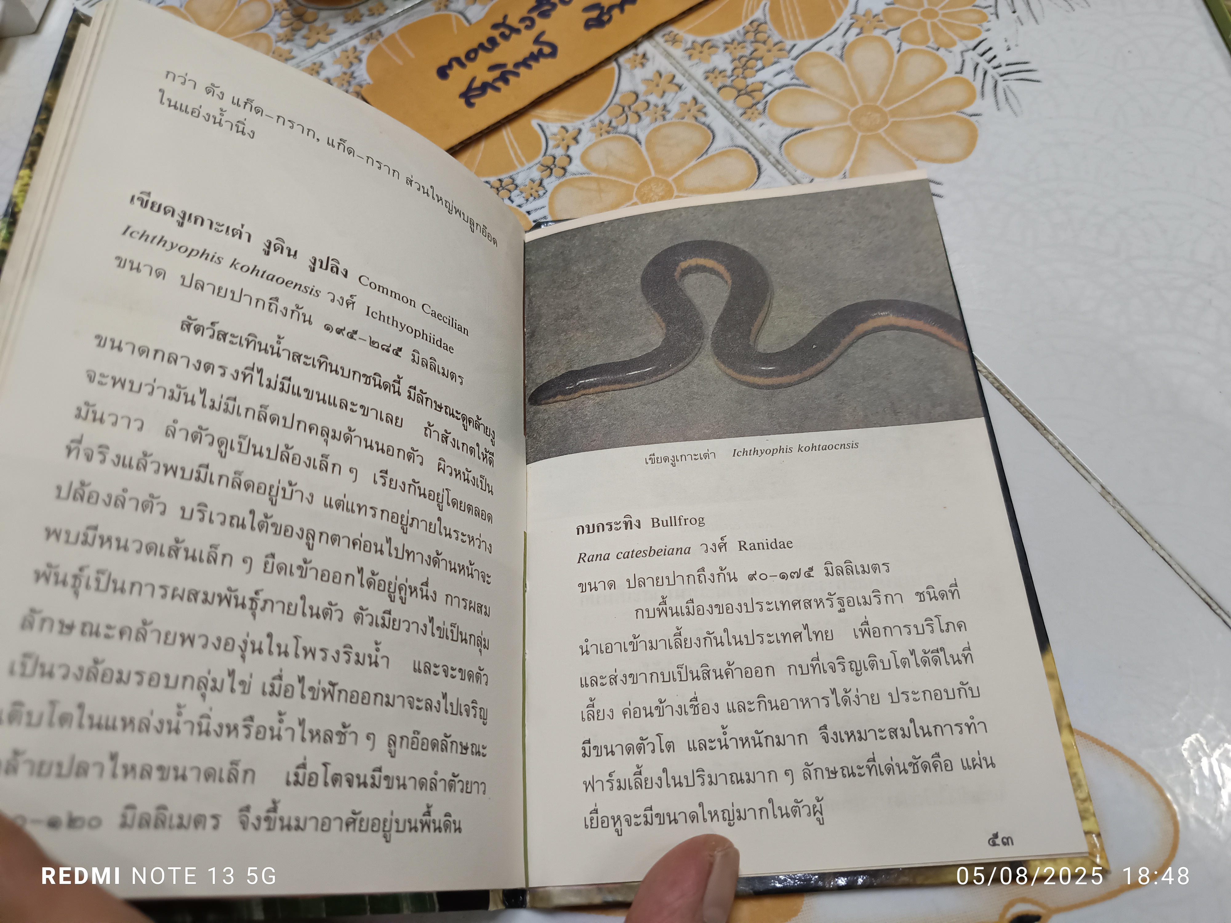 สัตว์สะเทินน้ำสะเทินบก เขียนโดย จารุจินต์ นภีตะภัฏ. หนังสือชุดความรู้ไทยขององค์การค้าคุรุสภา พิมพ์ครั้งแรกพ.ศ 2531