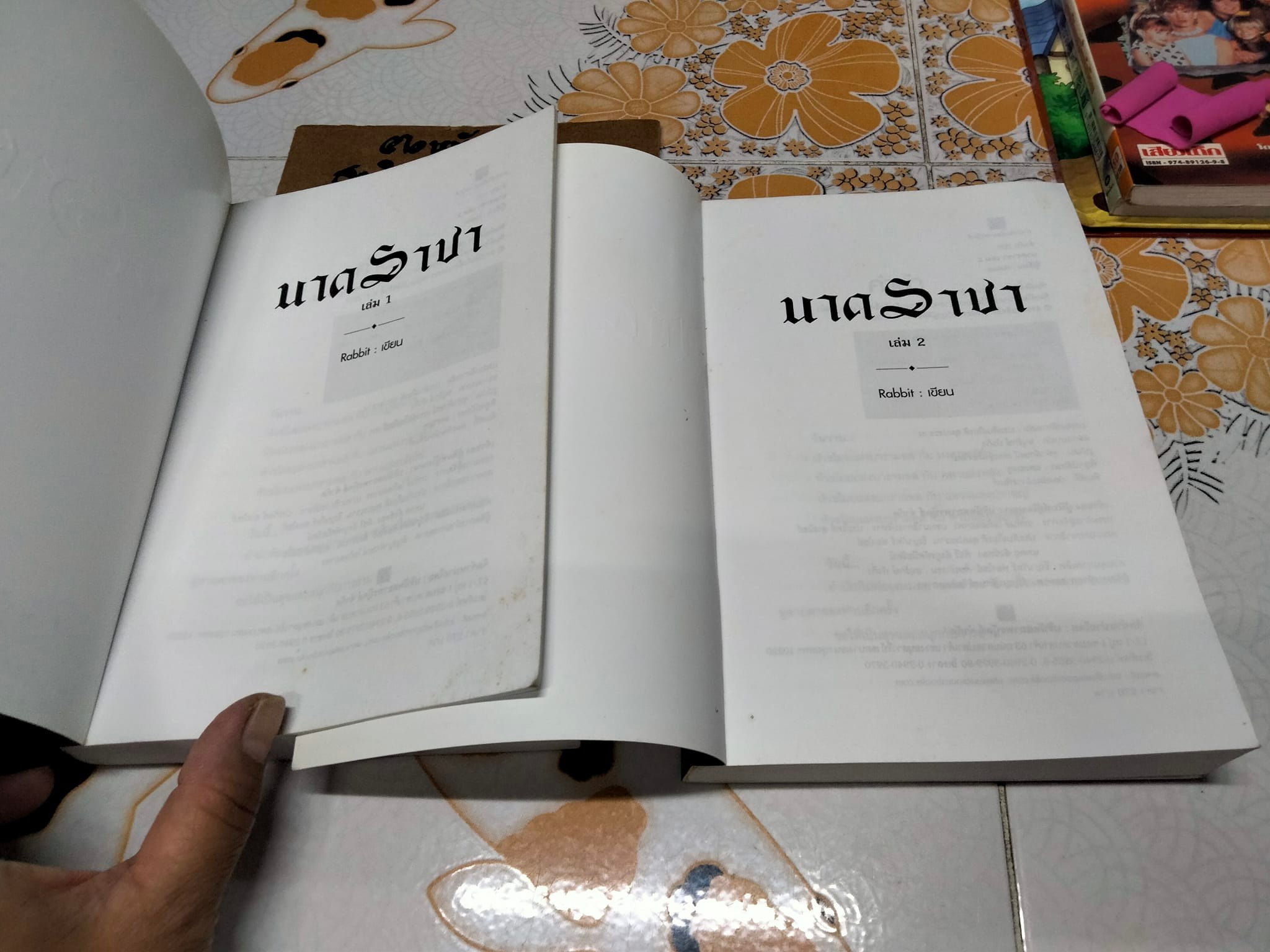 นาคราชา 2 เล่มจบ - Rabbit เขียน **สินค้าหมด**