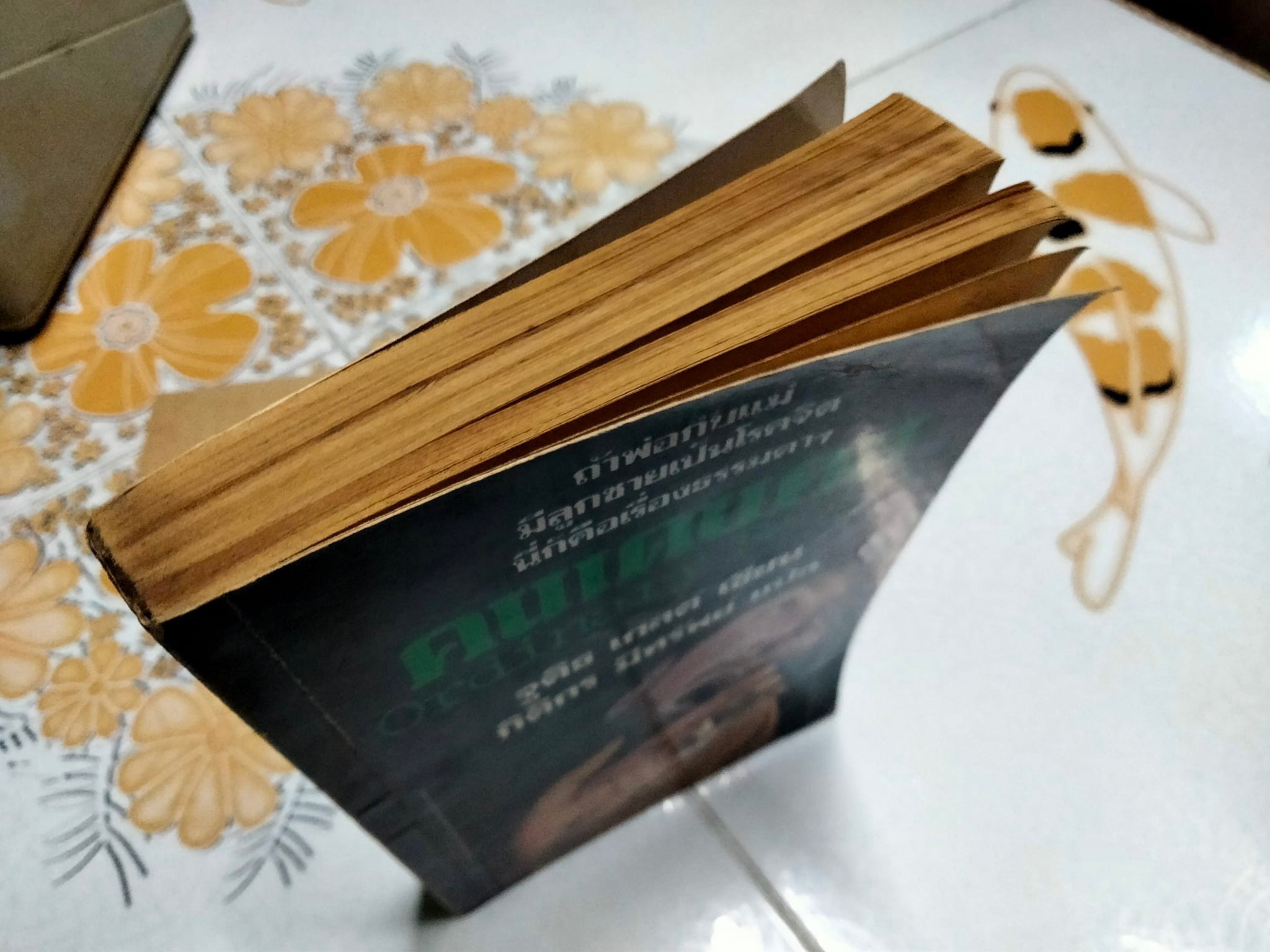 คนเดนคน Ordinary People จูดิธ เกสต์ เขียน - กิติกร มีทรัพย์ แปล