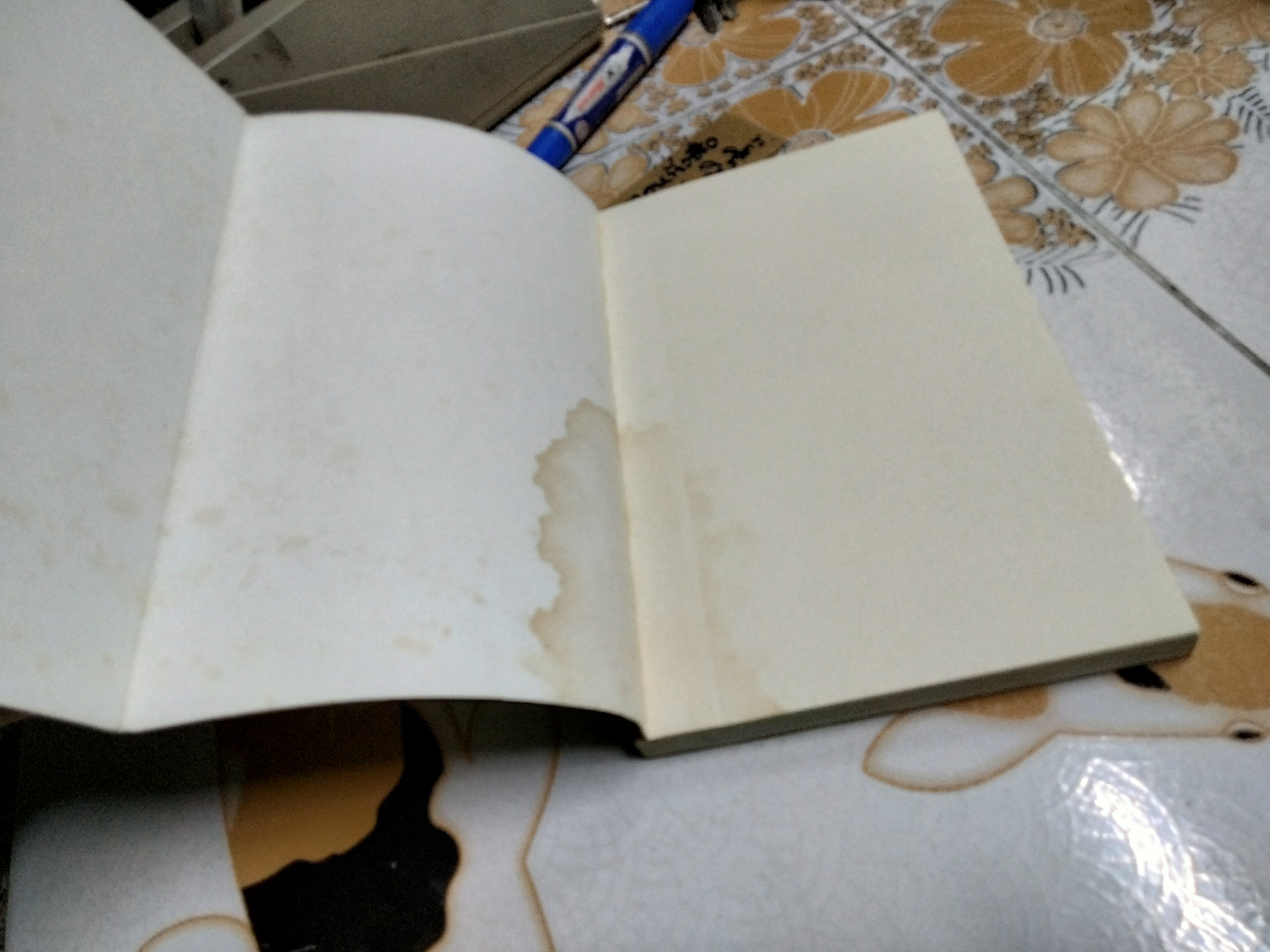 วะบิ - ซะบิ สำหรับศิลปิน นักออกแบบ กวี & นักปรัชญา โดย เลนนาร์ด โคเรน , กรินทร์ กลิ่นขจร แปล (พิมพ์ครั้งแรก 2546) **สินค้าหมด**