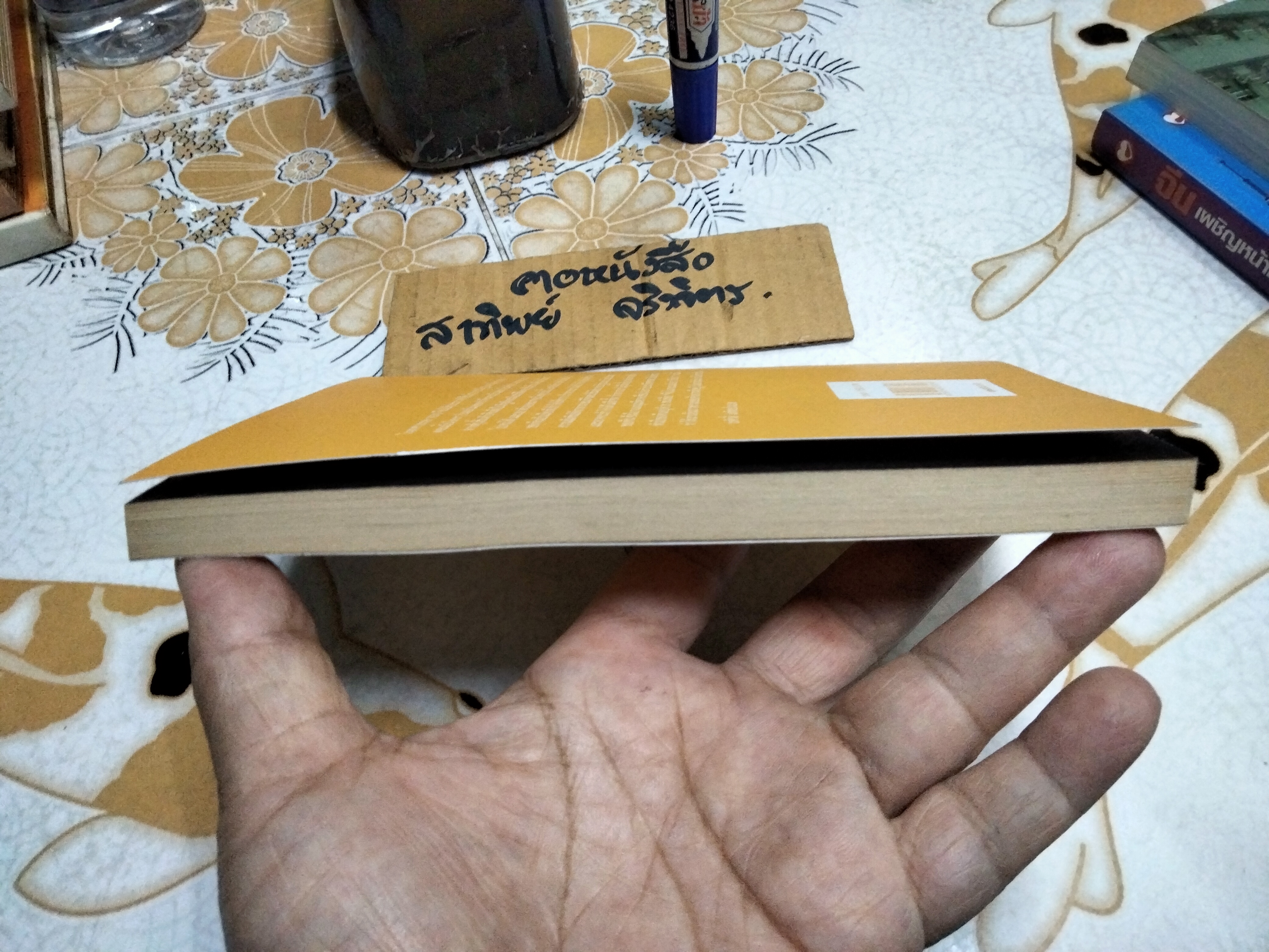 จีนในกระแสโลกาภิวัฒน์ China and Globalization โดย วรศักดิ์ มหัทธโนบล