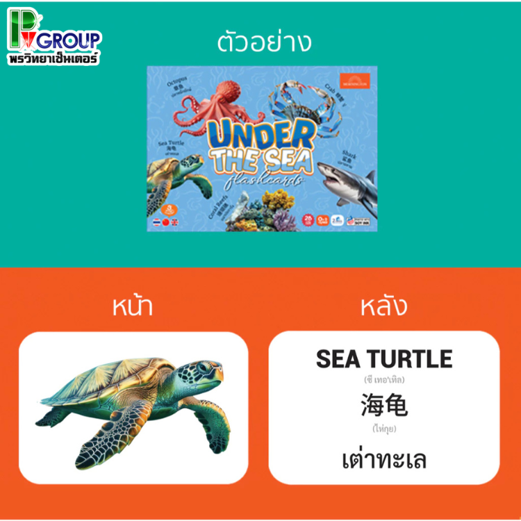 Mornington Flashcard ชุดการ์ดคำศัพท์ ขนาด A5 แฟลชการ์ด 3 ภาษา