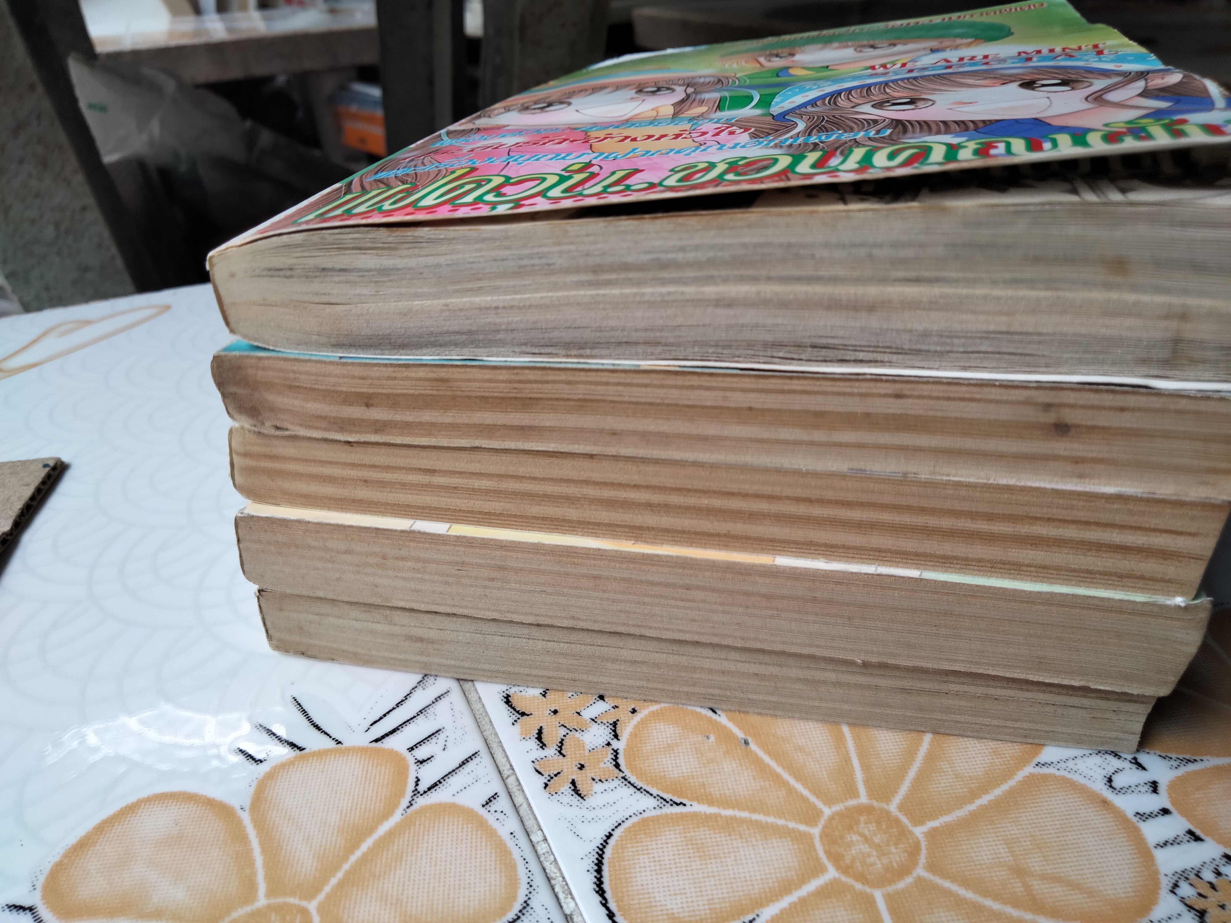 แฝดวุ่นวัยหวาน + เล่มพิเศษ แฝดวุ่นชวนคุณฝัน (ครบ 5 เล่มจบ) ผลงานของ WATARU YOSHIZUMI **สินค้าหมด**