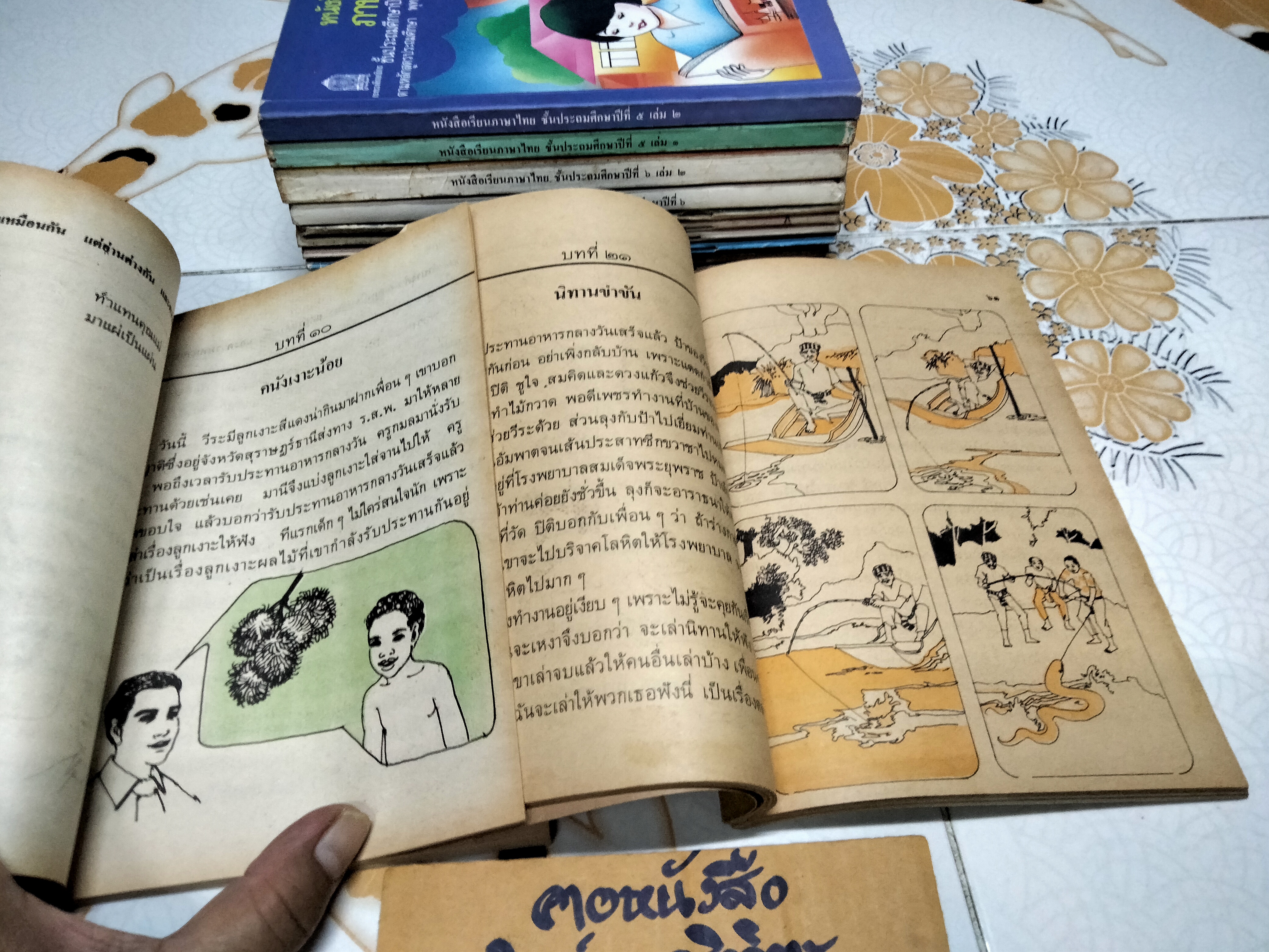 หนังสือเรียนภาษาไทย (แบบเรียน) มานี มานะ ชั้นประถมศึกษา 1-6 จำนวน 12 เล่ม