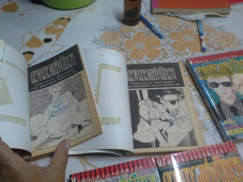 ดวงดาวแห่งนิทรา (5 เล่มจบ) - หนังสือเช่า