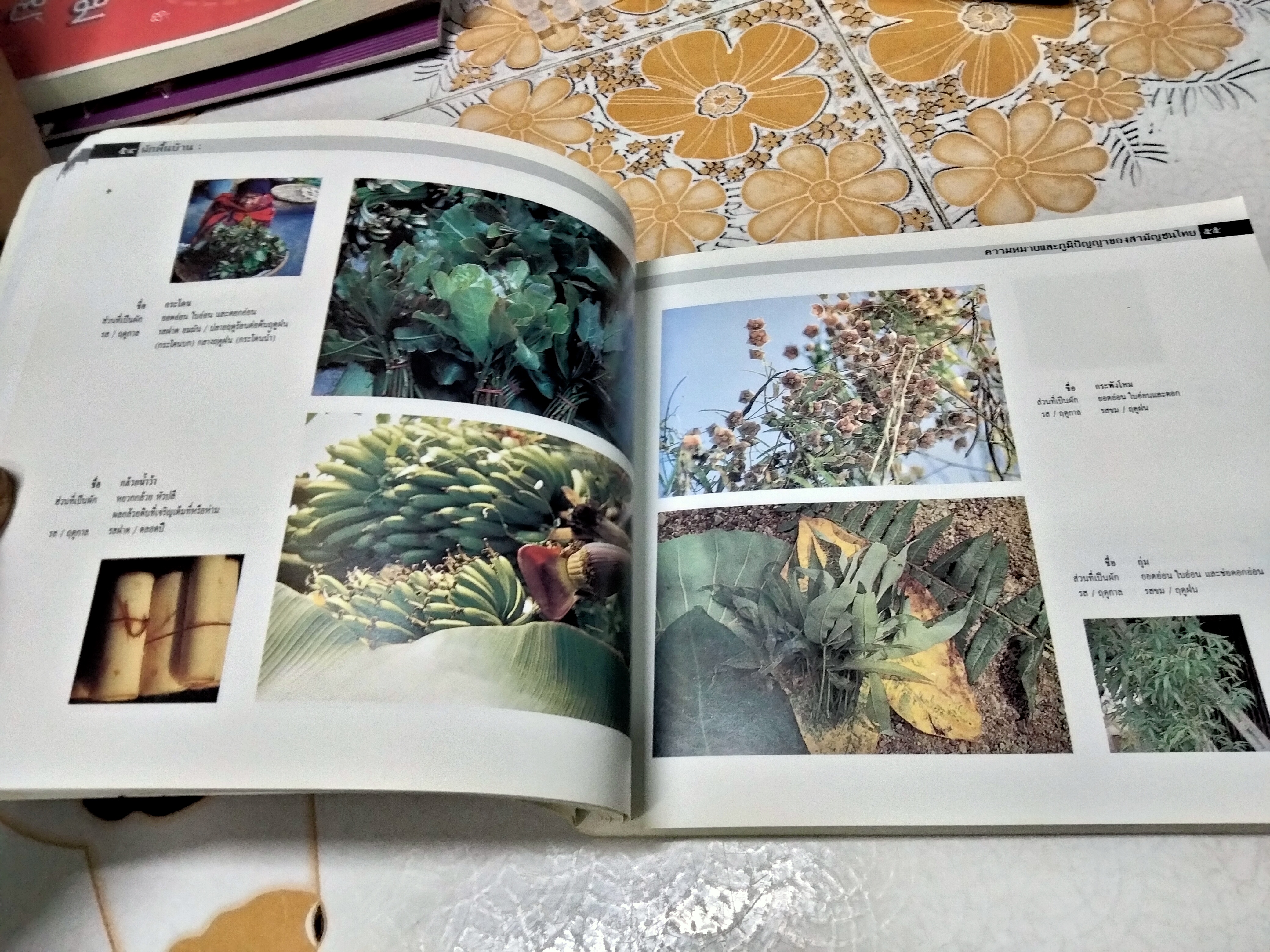 ผักพื้นบ้าน ความหมายและภูมิปัญญาของสามัญชนไทย โดย สถาบันการแพทย์แผนไทย กรมการแพทย์ กระทรวงสาธารณสุข