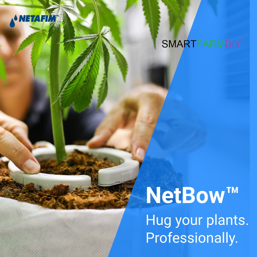 Netbow รุ่น 5 นิ้ว/ 10 นิ้ว