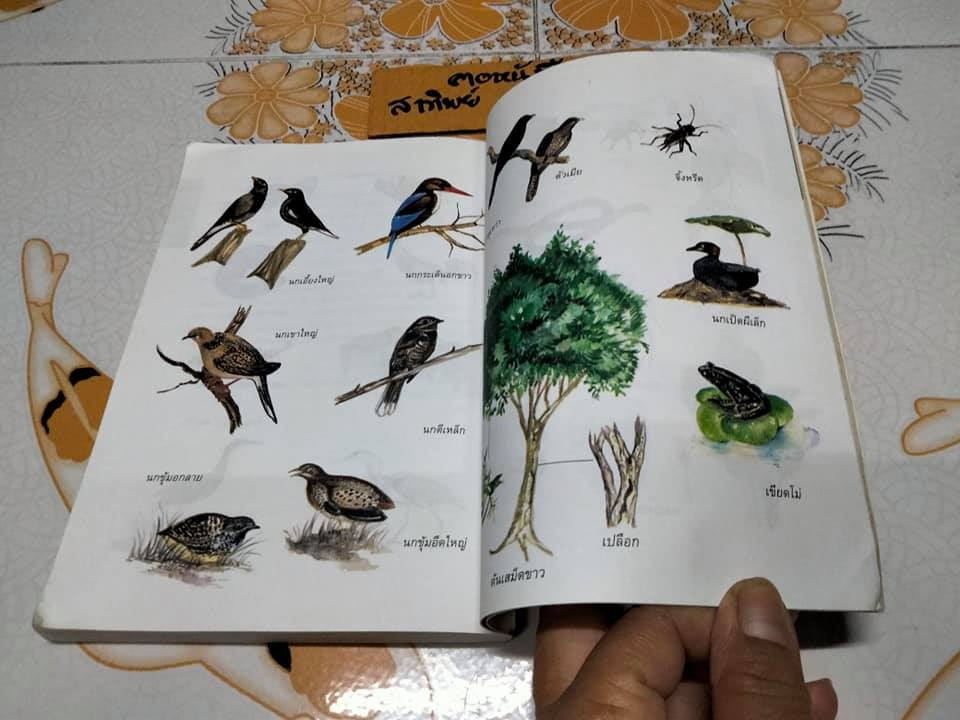 ลูกอีสาน (ฉบับนักเรียน) คำพูน บุญทวี - ฉบับฉลองครบรอบ 20 ปีรางวัลซีไรต์ พร้อมภาคผนวกและภาพสี่สีประกอบ