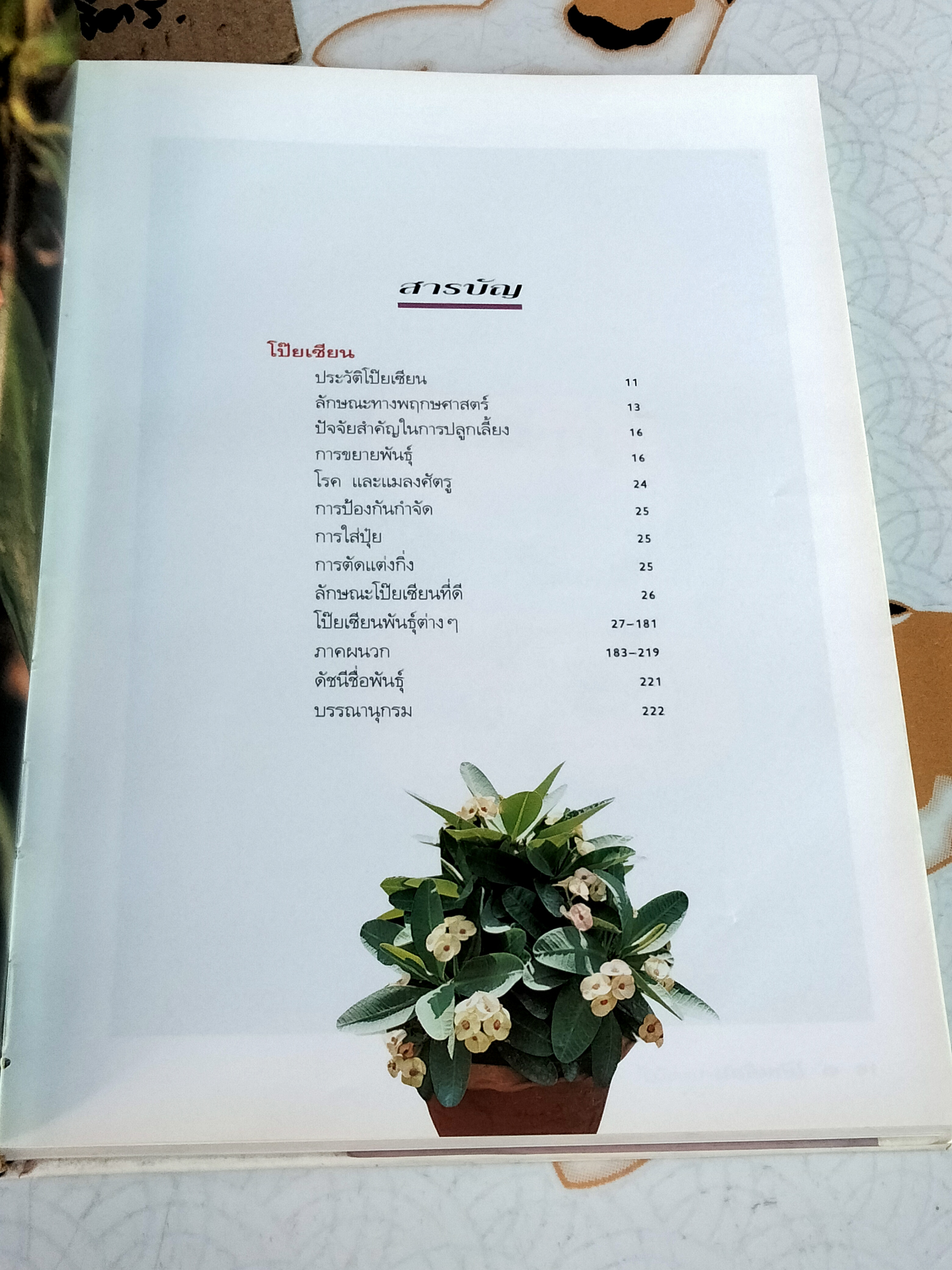 โป๊ยเซียน ไม้ดอกเสี่ยงทาย เล่ม 1 อุไร จิรมงคลการ เรียบเรียง , พิมพ์ครั้งแรก พ.ศ 2538